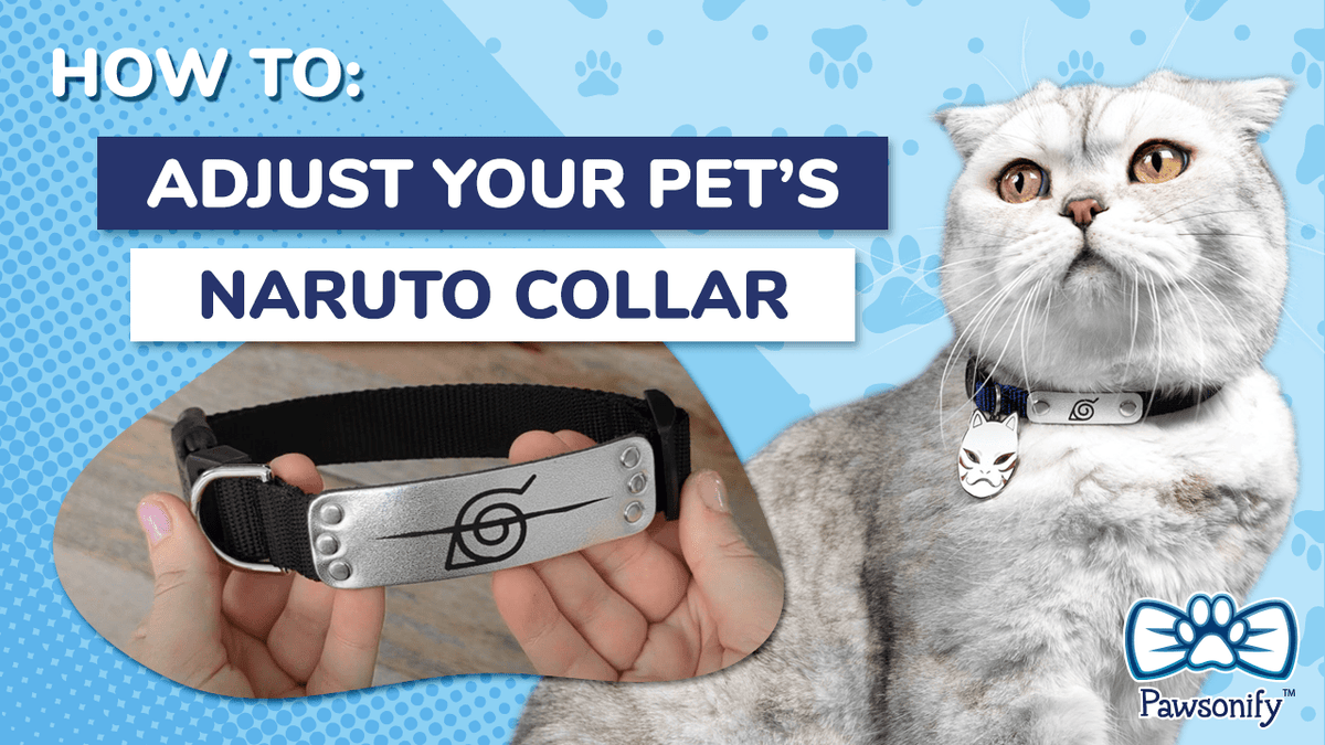 How to Adjust Your Pet's Naruto Collar - Pawsonify