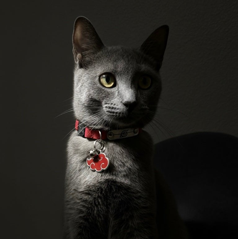 Cat Two Piece Bundle - Rogue Ninja Collar & Akatsuki Pet Tag - Pawsonify