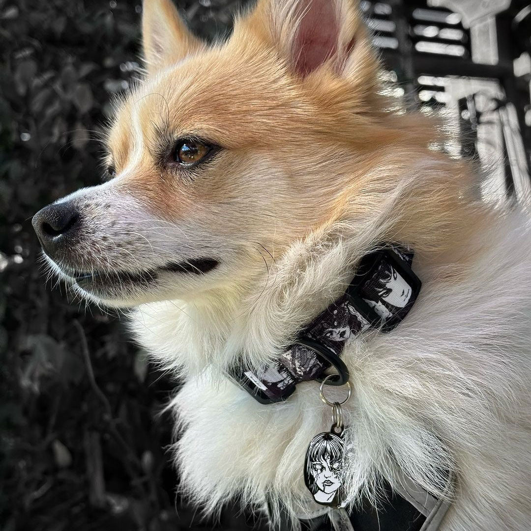 Junji Ito Tomie Collar and Pet Tag