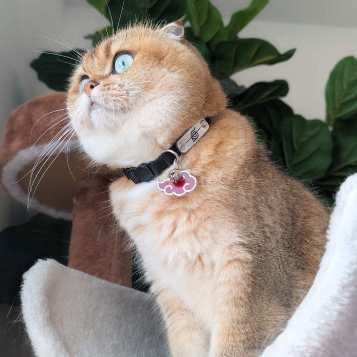 Cat Two Piece Bundle - Rogue Ninja Collar & Akatsuki Pet Tag - Pawsonify