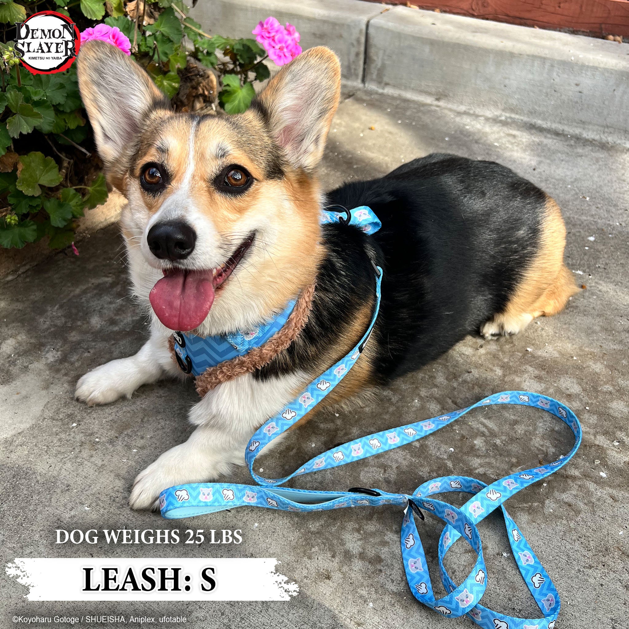 【Pre-Order】Inosuke Hashibira Leash