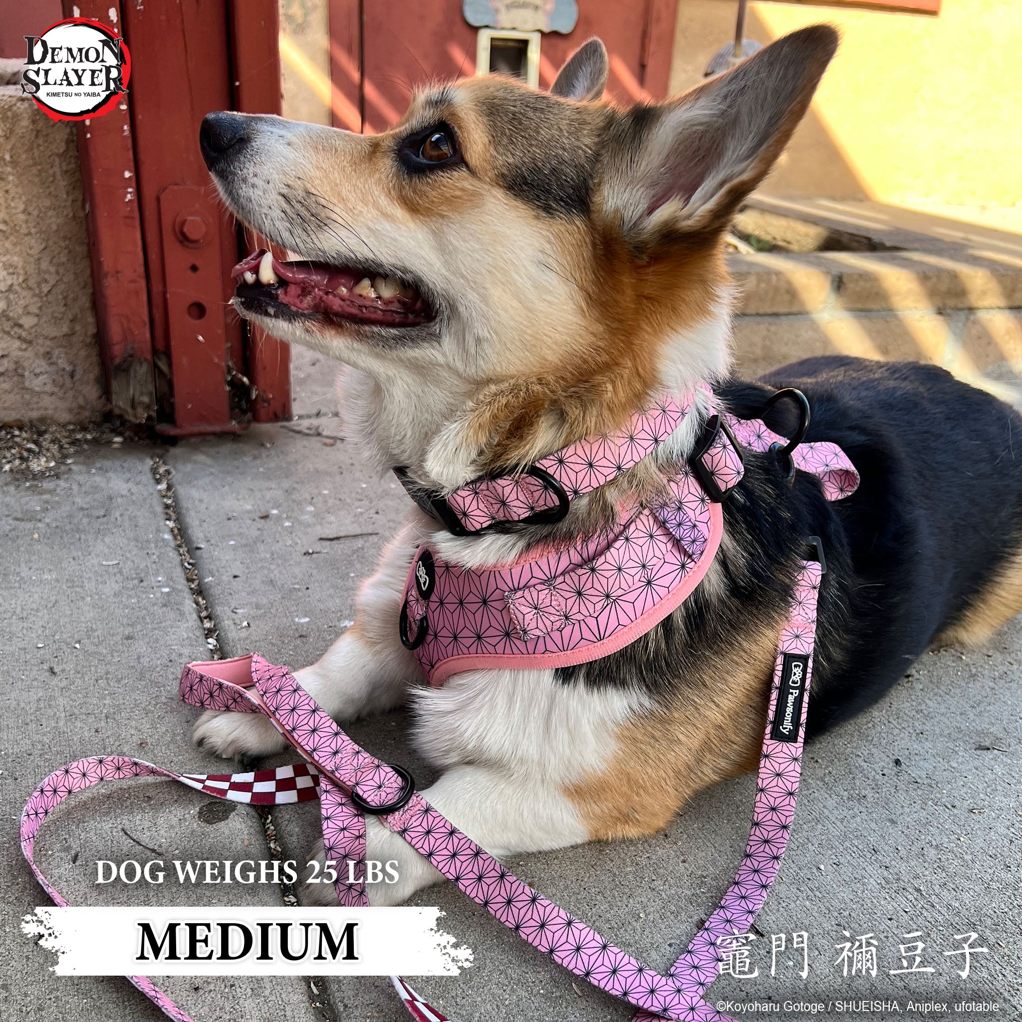 【Pre-Order】Nezuko Kamado Collar