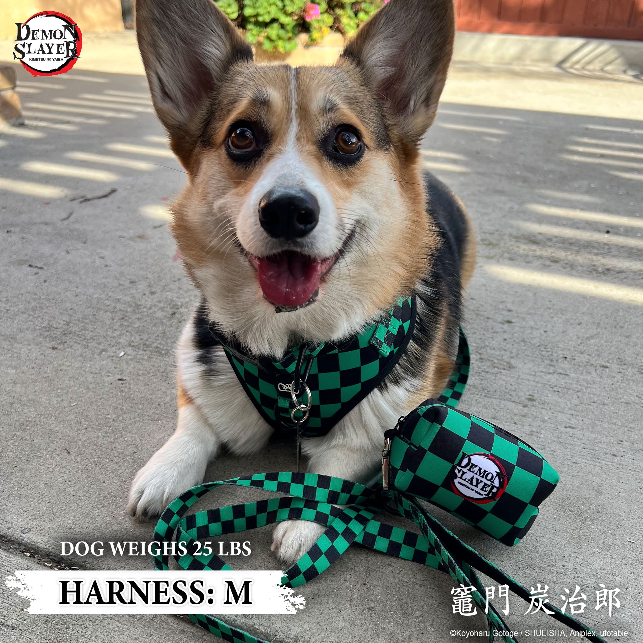 【Pre-Order】Dog Four Piece Bundle - Tanjiro