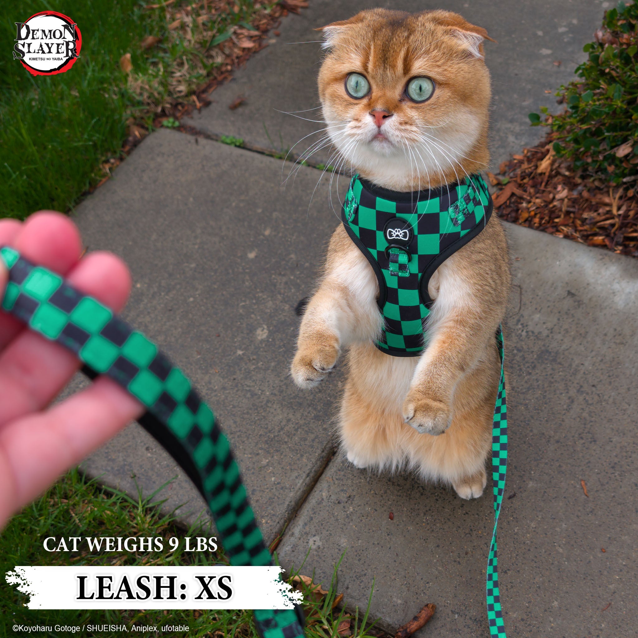 【Pre-Order】Tanjiro Kamado Leash