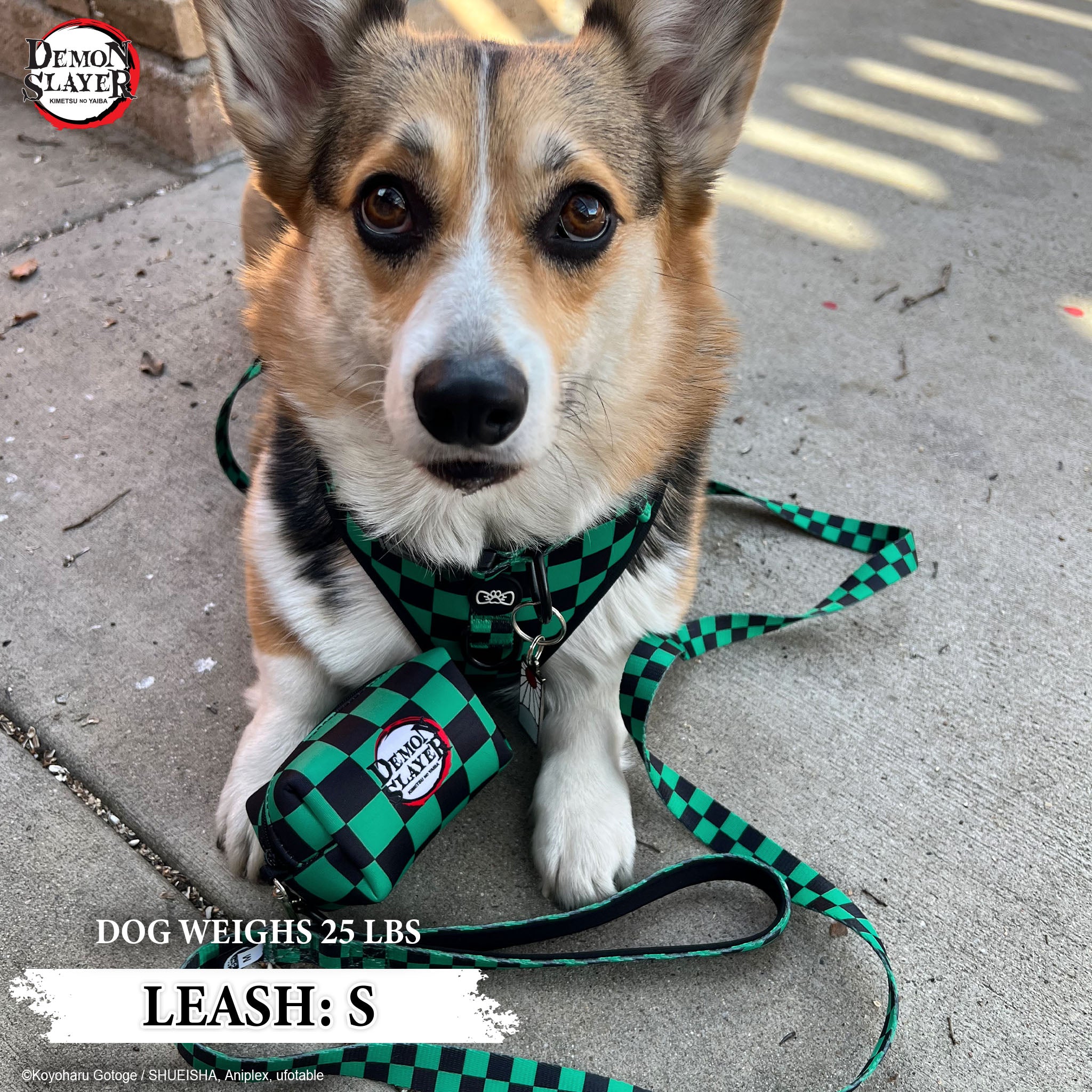 【Pre-Order】Tanjiro Kamado Leash