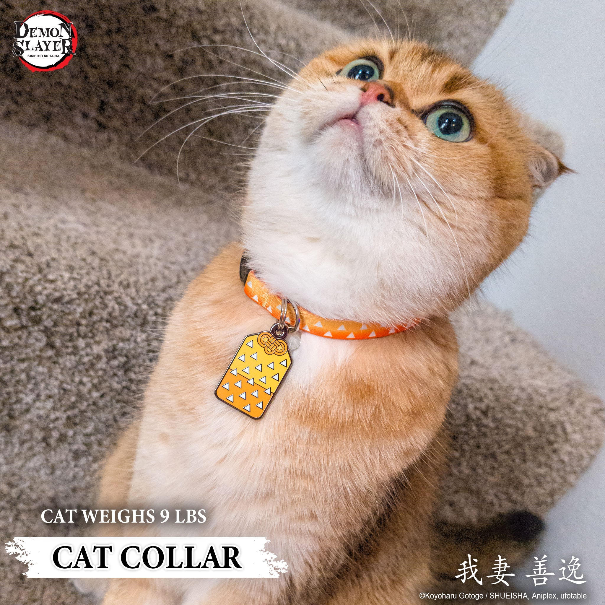 Zenitsu Agatsuma Collar - Pawsonify