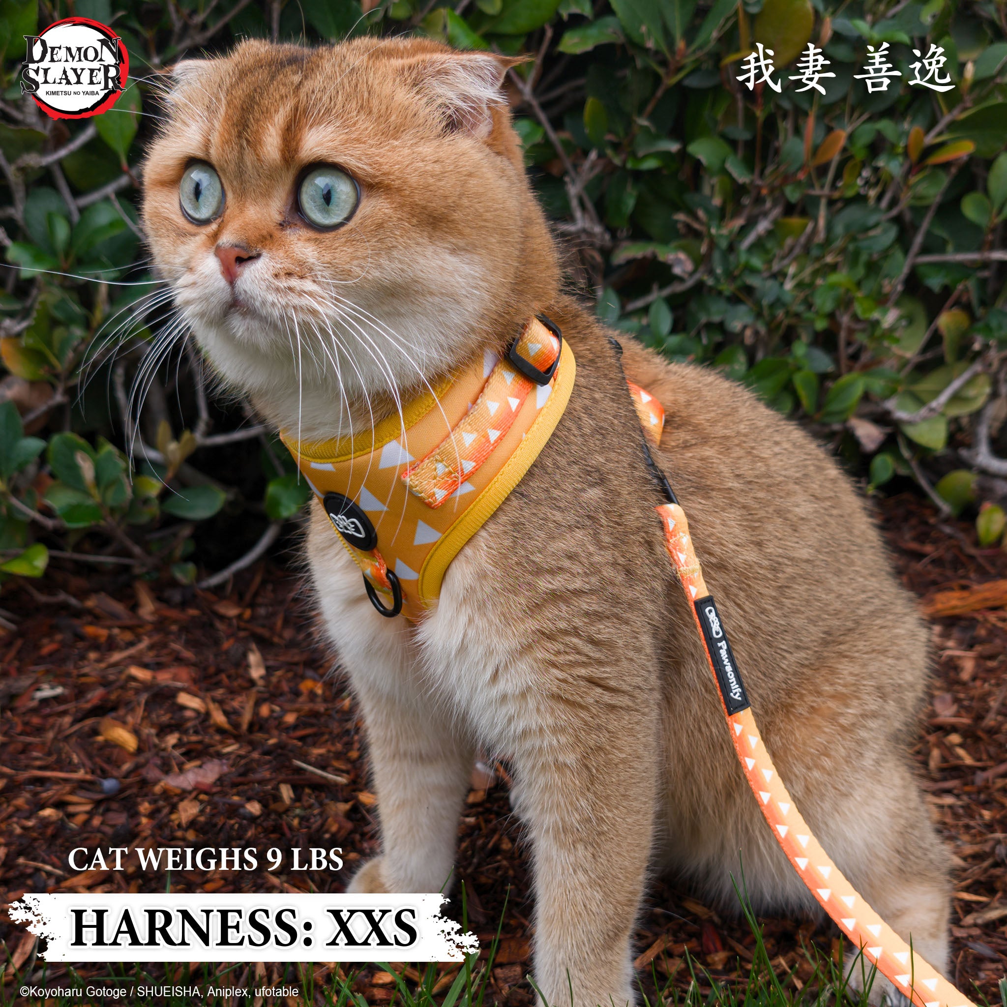 【Pre-Order】Cat Three Piece Bundle - Zenitsu