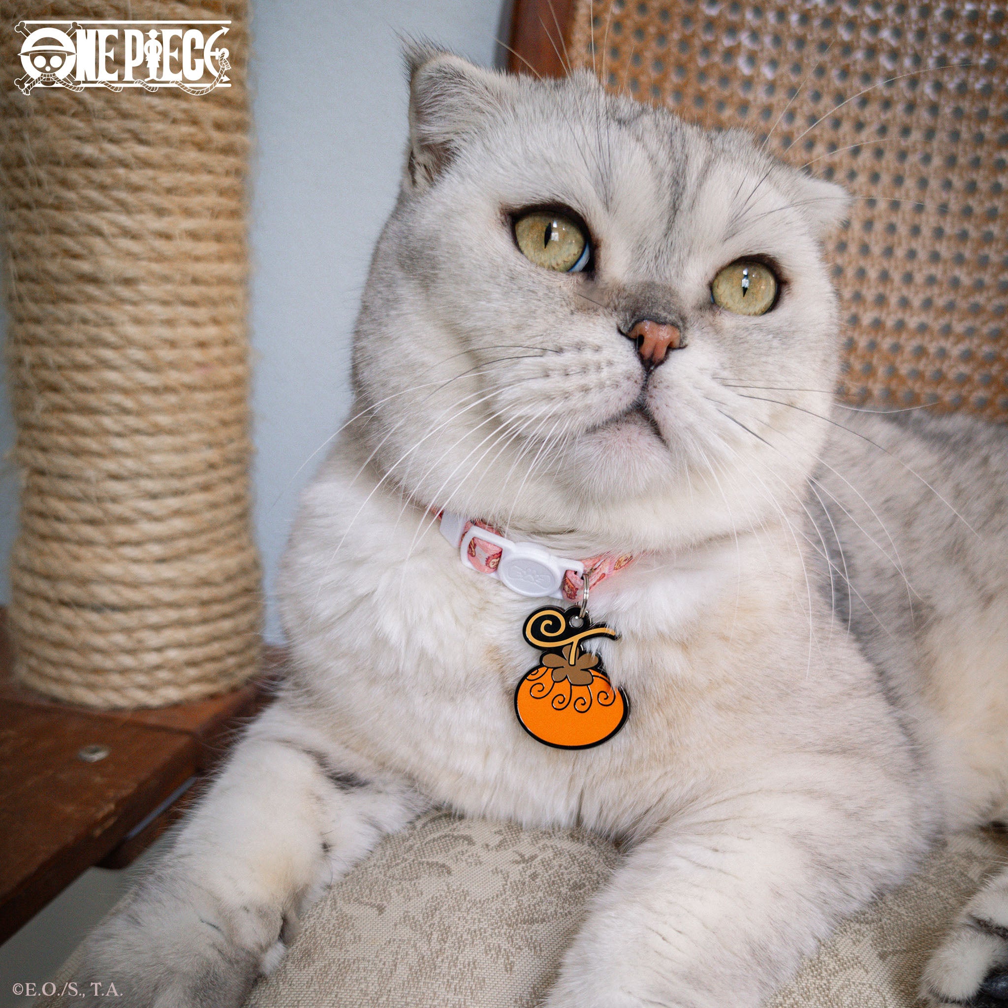 Dog-Dog Fruit, Model: Okuchi-no-Makami Pet Tag