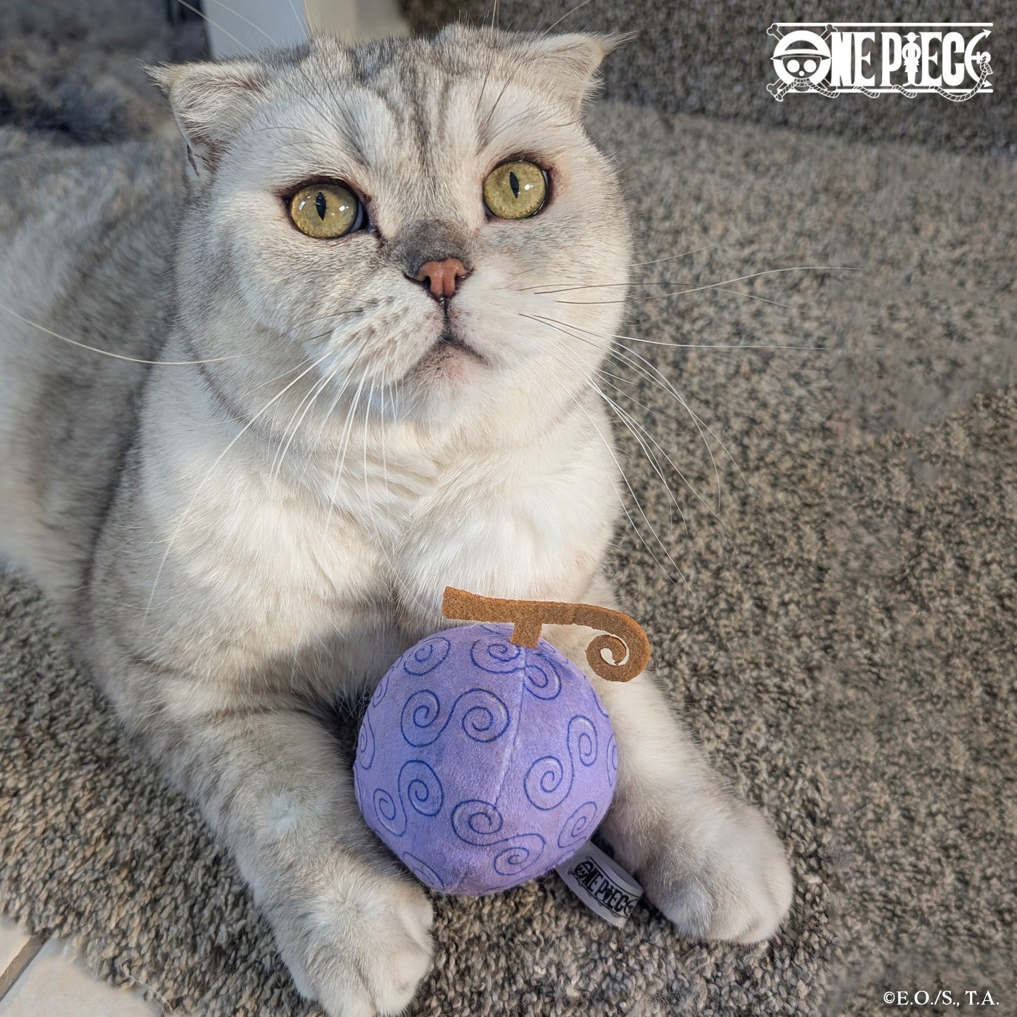Cat playing with a One Piece-inspired Gum-Gum Fruit plush toy, designed with red and purple swirls and filled with catnip.