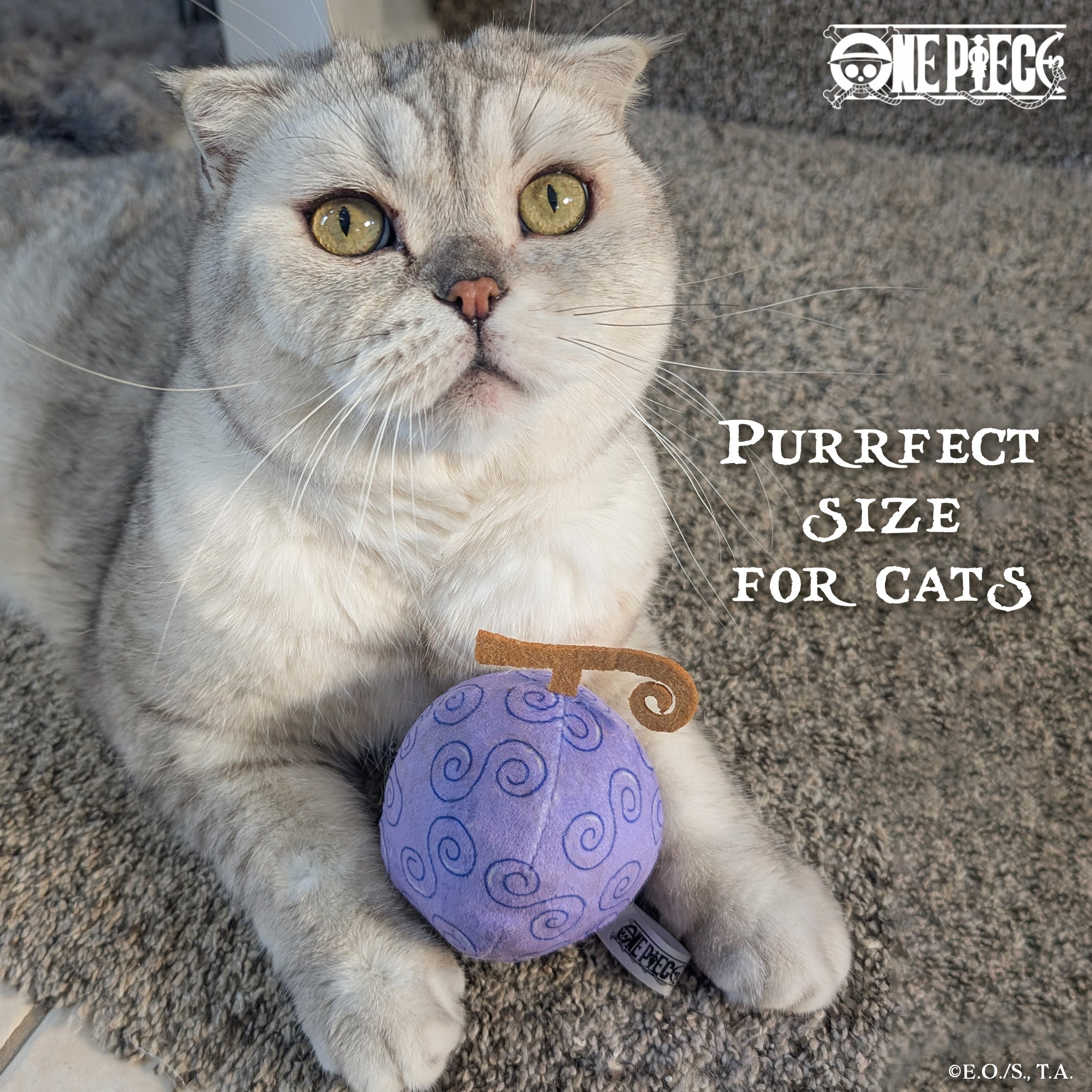 Devil Fruit Cat Toy Bundle