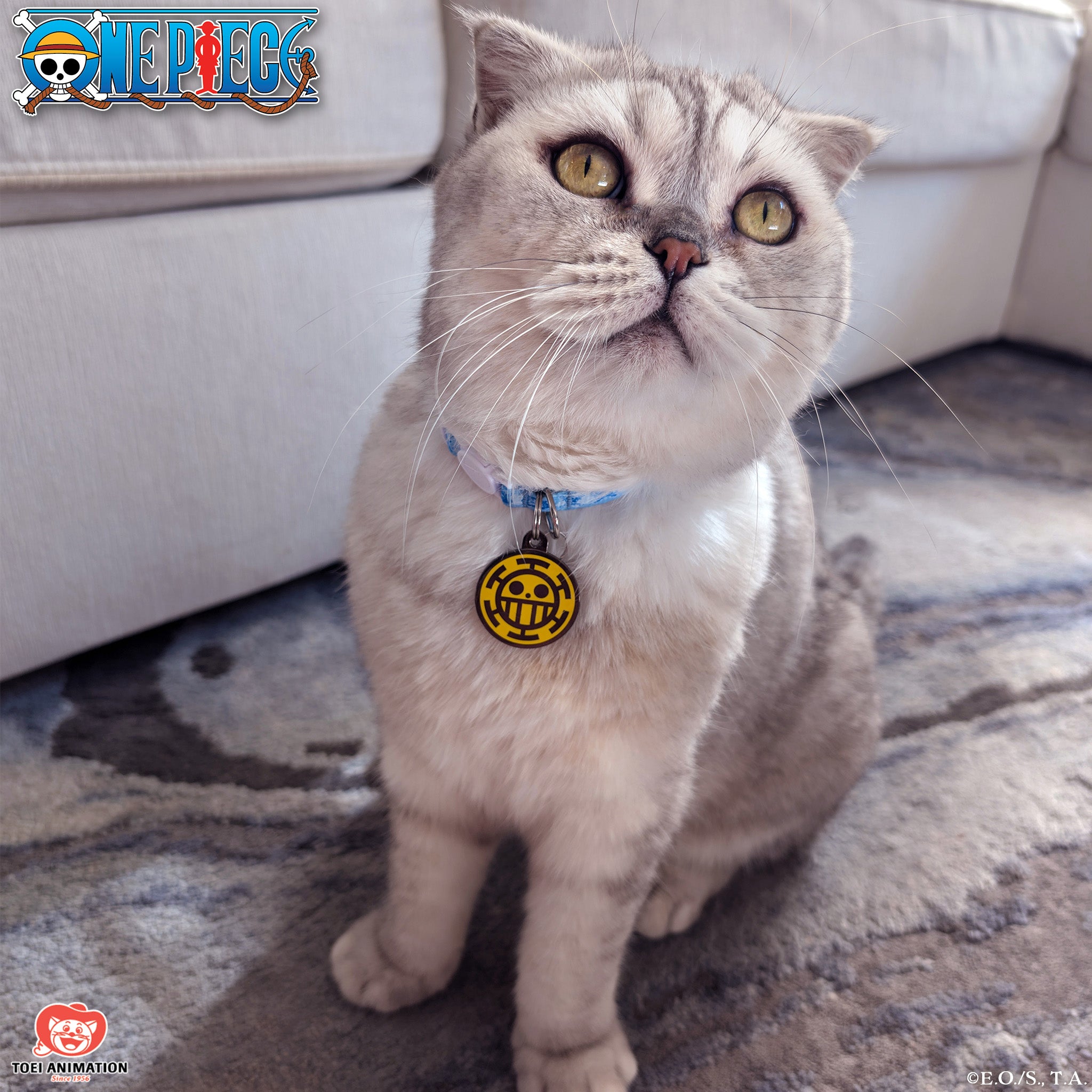 Heart Pirates Pet Tag (Trafalgar D. Water Law Jolly Roger)