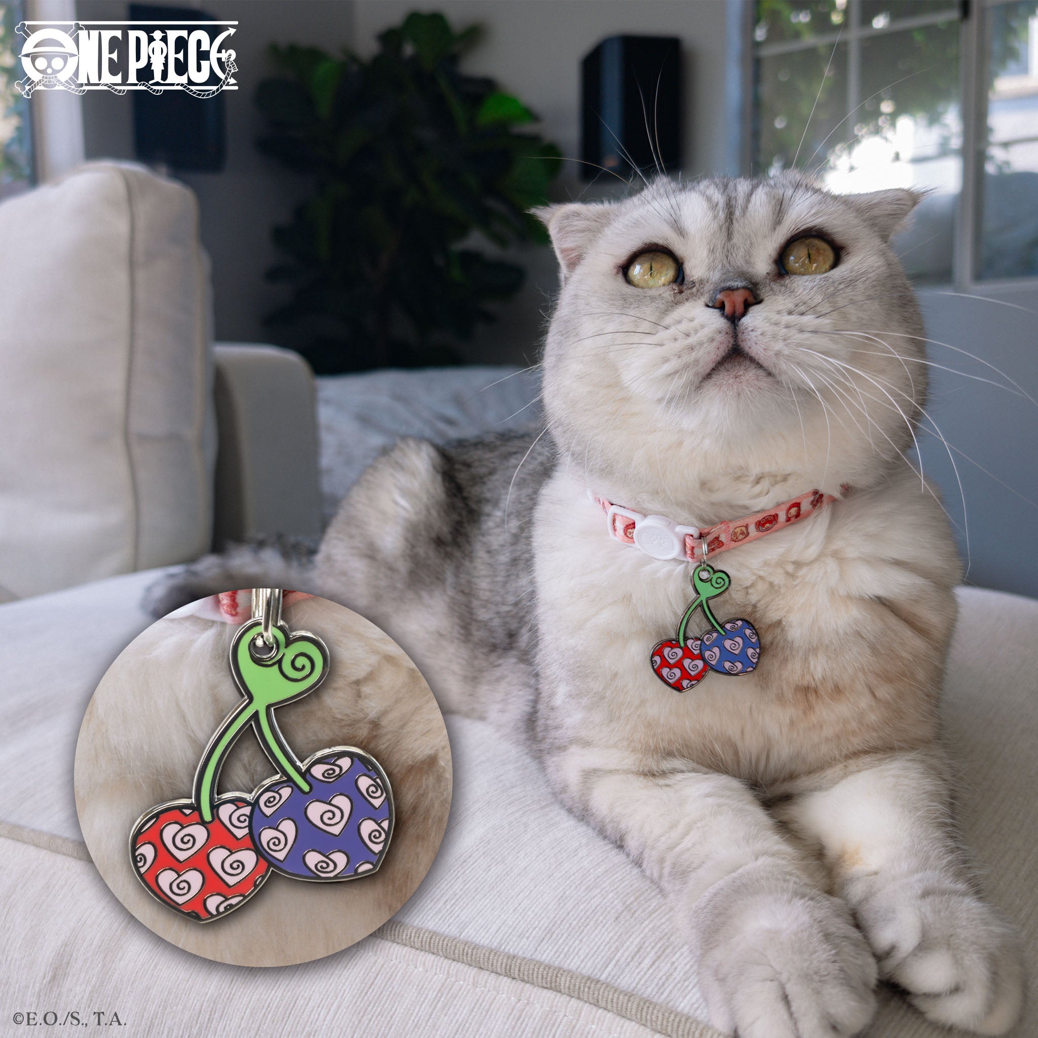 Love-Love Fruit Pet Tag