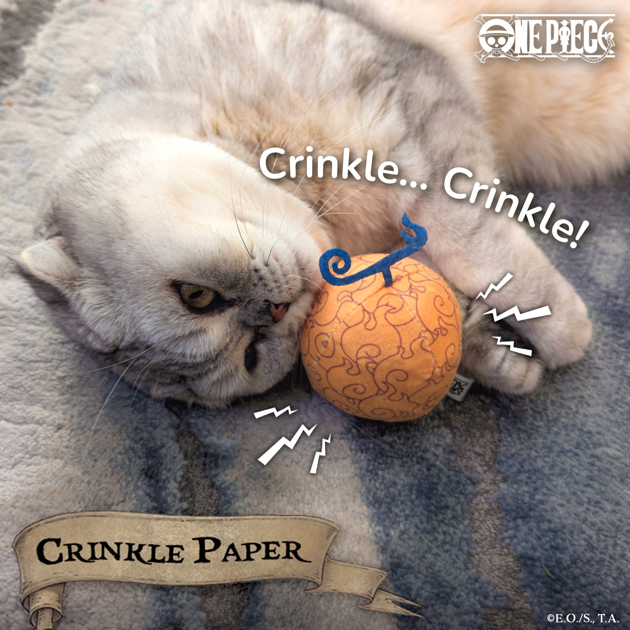 【Coming Soon】 Flame-Flame Fruit Catnip Toy