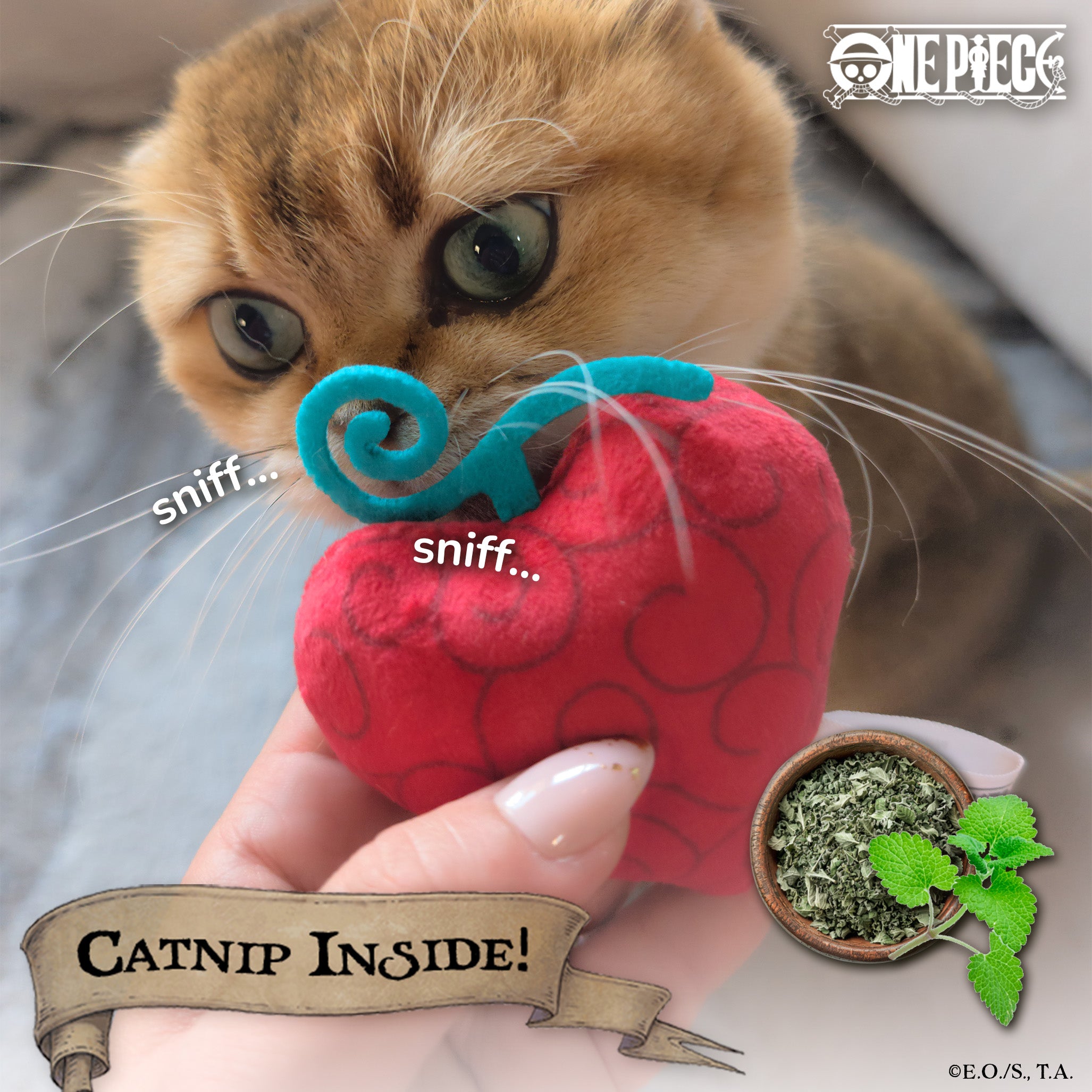 Devil Fruit Cat Toy Bundle