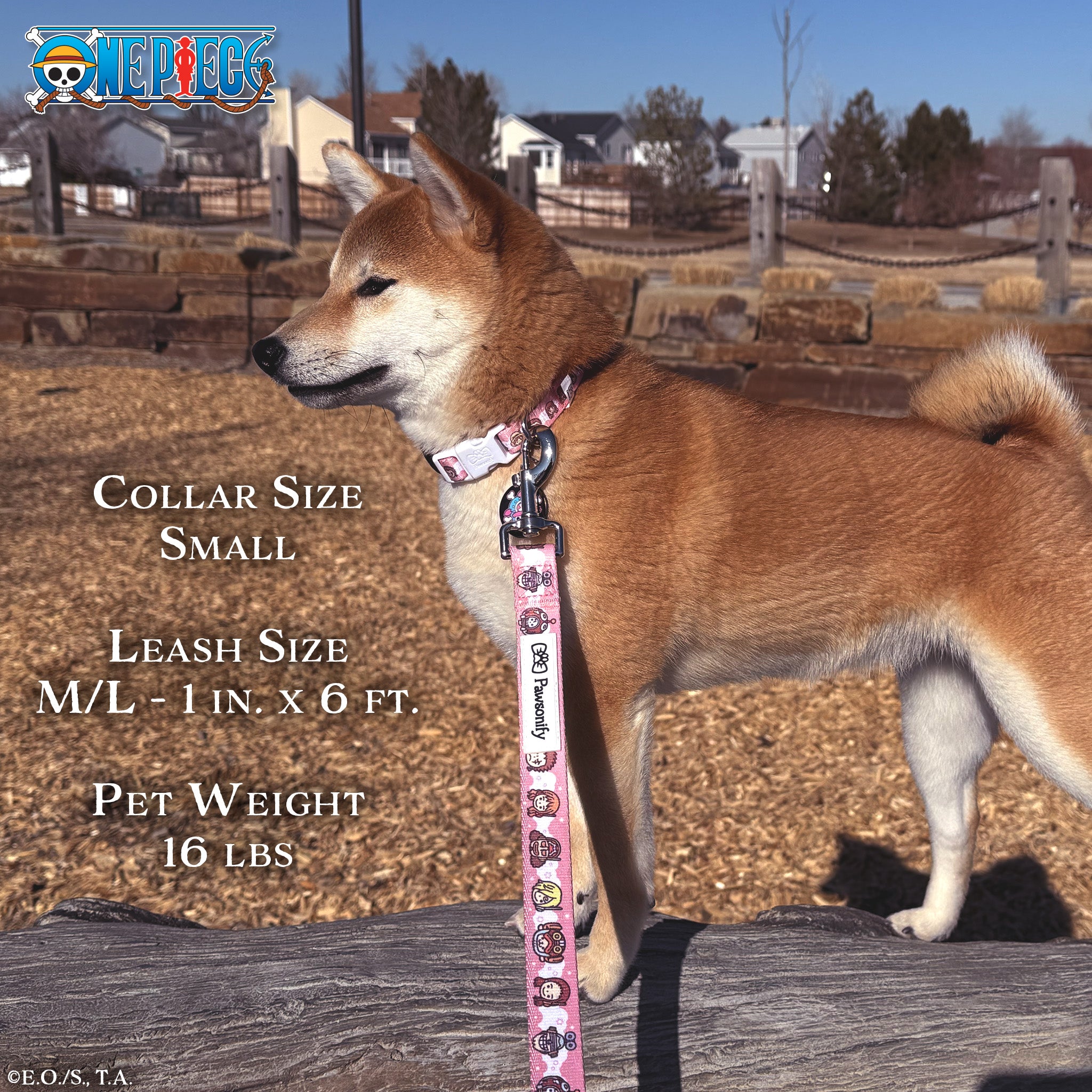 Future Island Egghead Leash