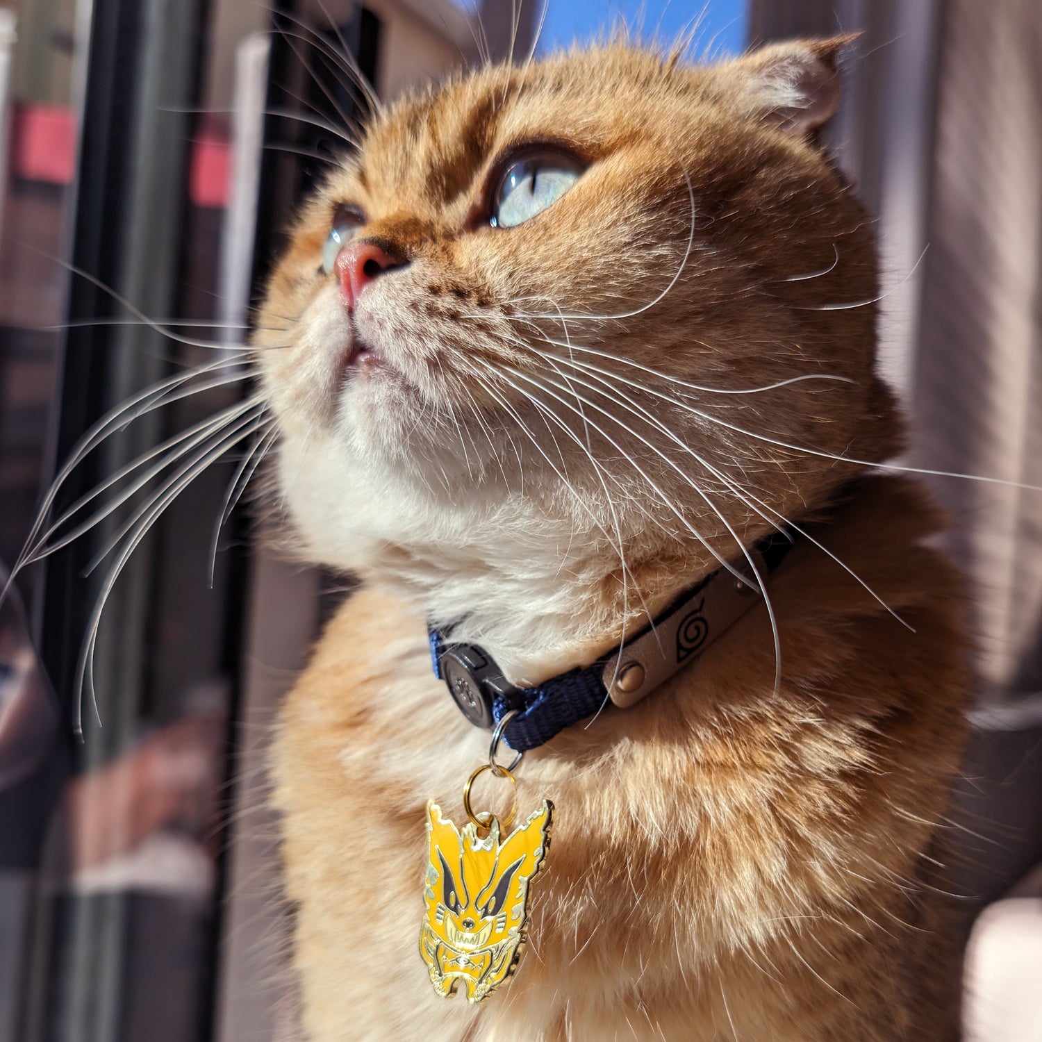 Naruto Shippuden - Kurama Pet Tag - Pawsonify