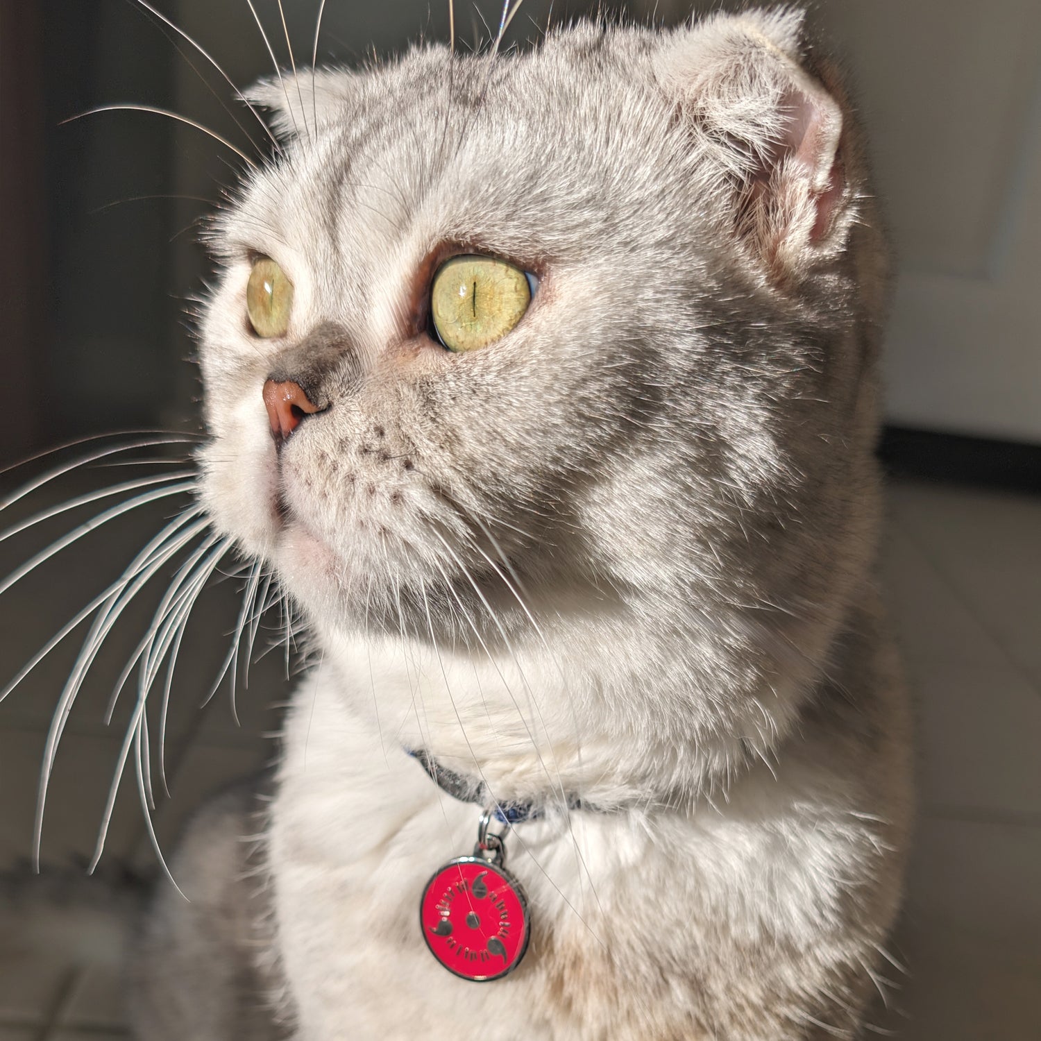 Sharingan Pet Tag - Pawsonify