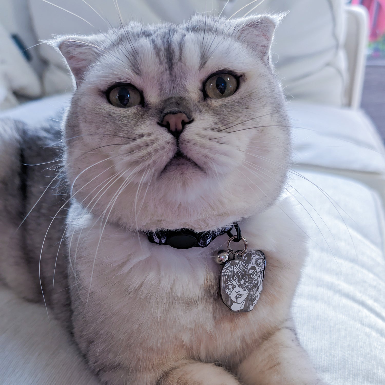 Junji Ito x Pawsonify - Tomie Pet Tag - Free Engraving Included!