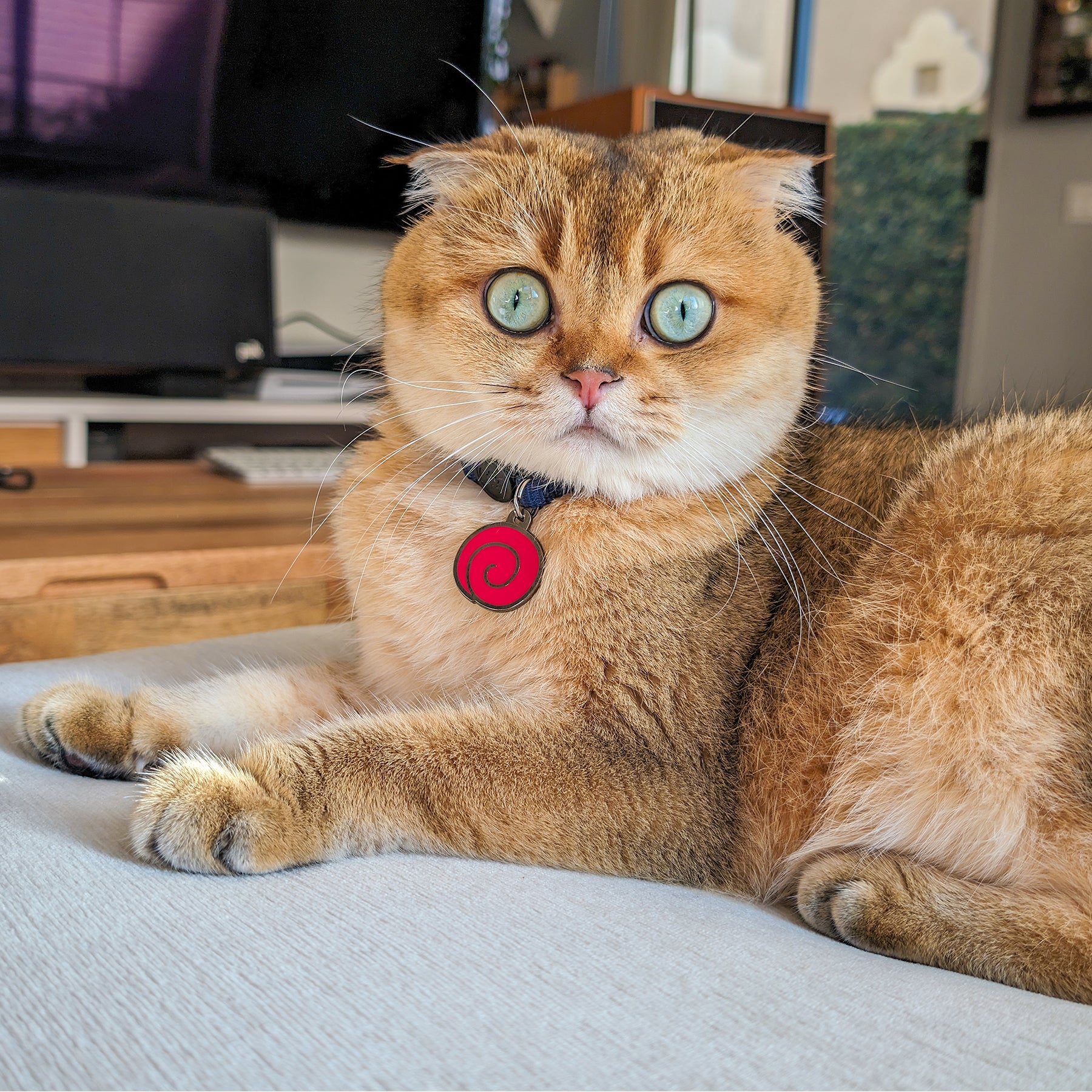 Uzumaki Pet Tag - Pawsonify