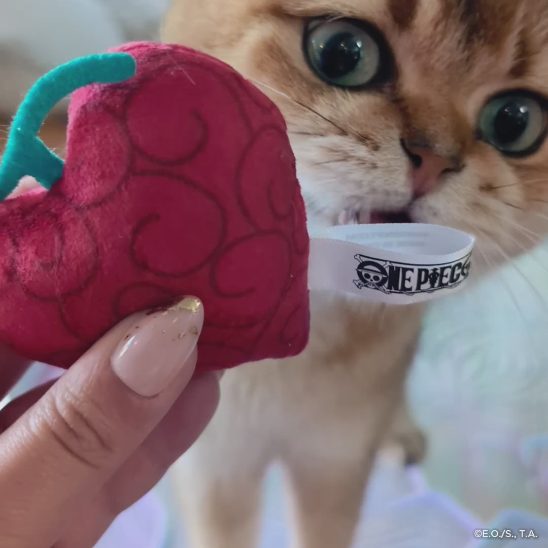 Video featuring One Piece Op-Op Fruit Cat Toy with close-up shots of the red heart-shaped plush, crinkle sounds, and a cat playfully batting and chasing the toy.