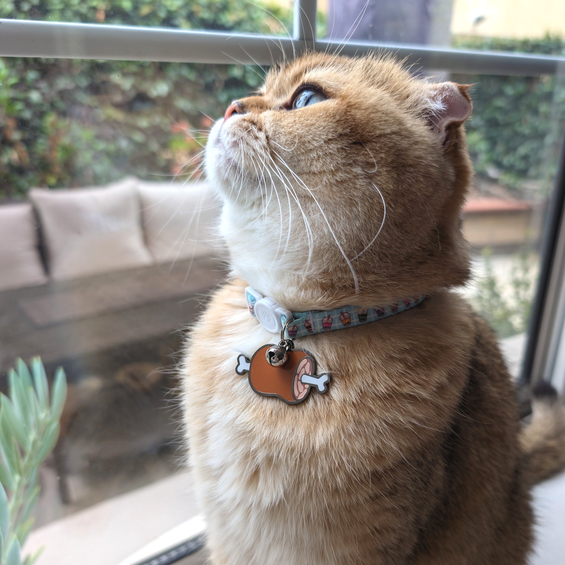 Meat Stick Engravable Pet Tag