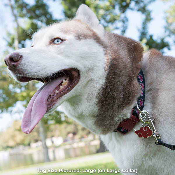 Akatsuki Pet Tag Large FREE ENGRAVING #size_Large (S/M/L)