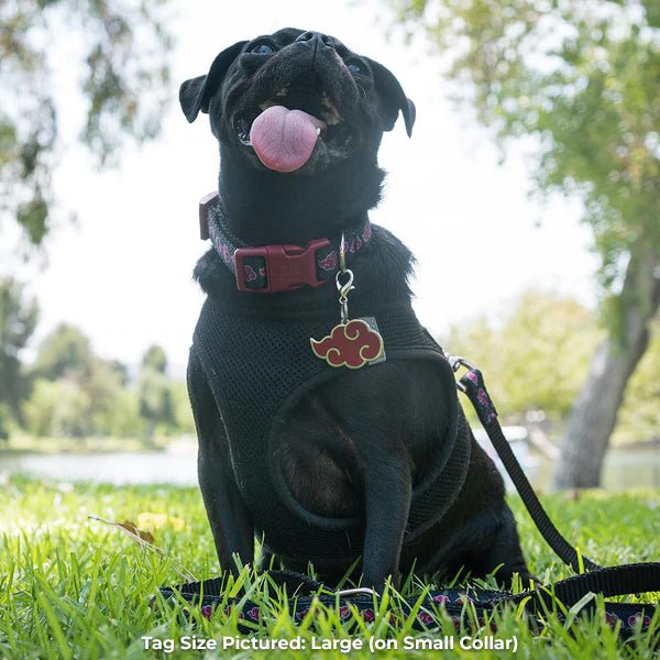 Akatsuki Pet Tag Large FREE ENGRAVING #size_Large (S/M/L)