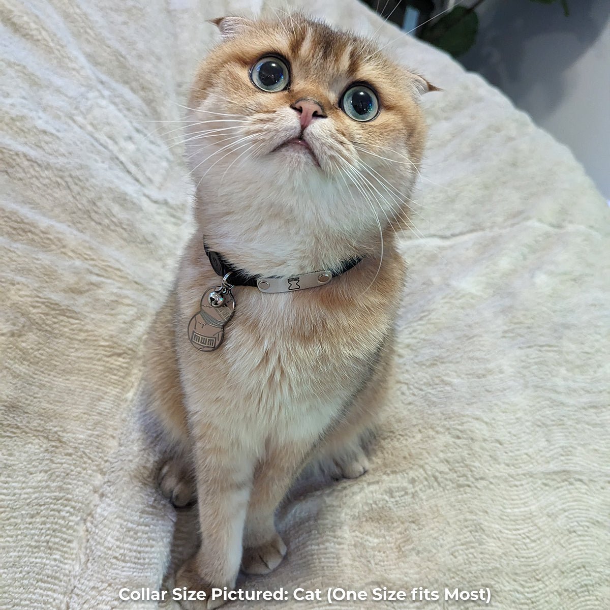 Gaara's Gourd Pet Tag - Pawsonify