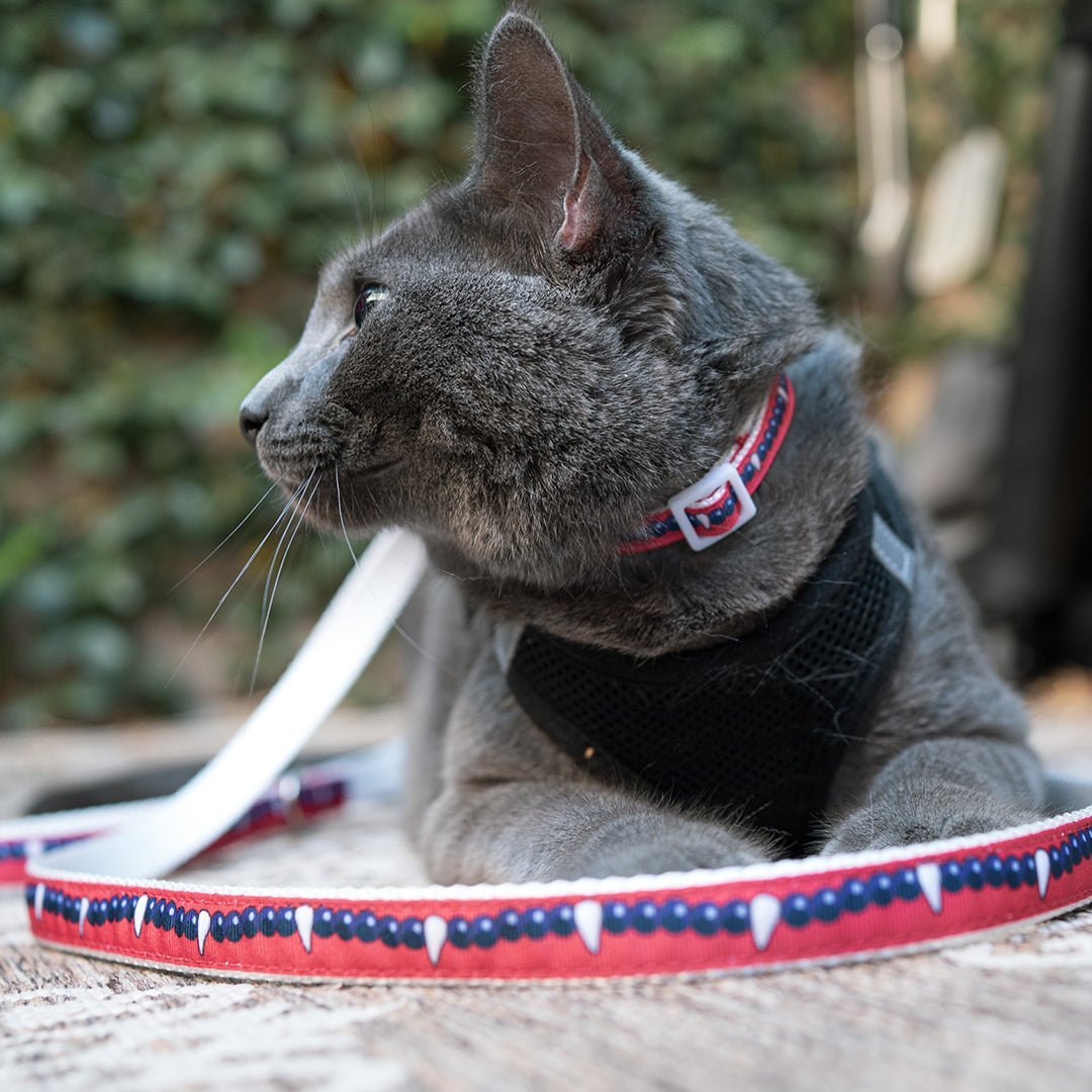 Inuyasha Collar - Pawsonify
