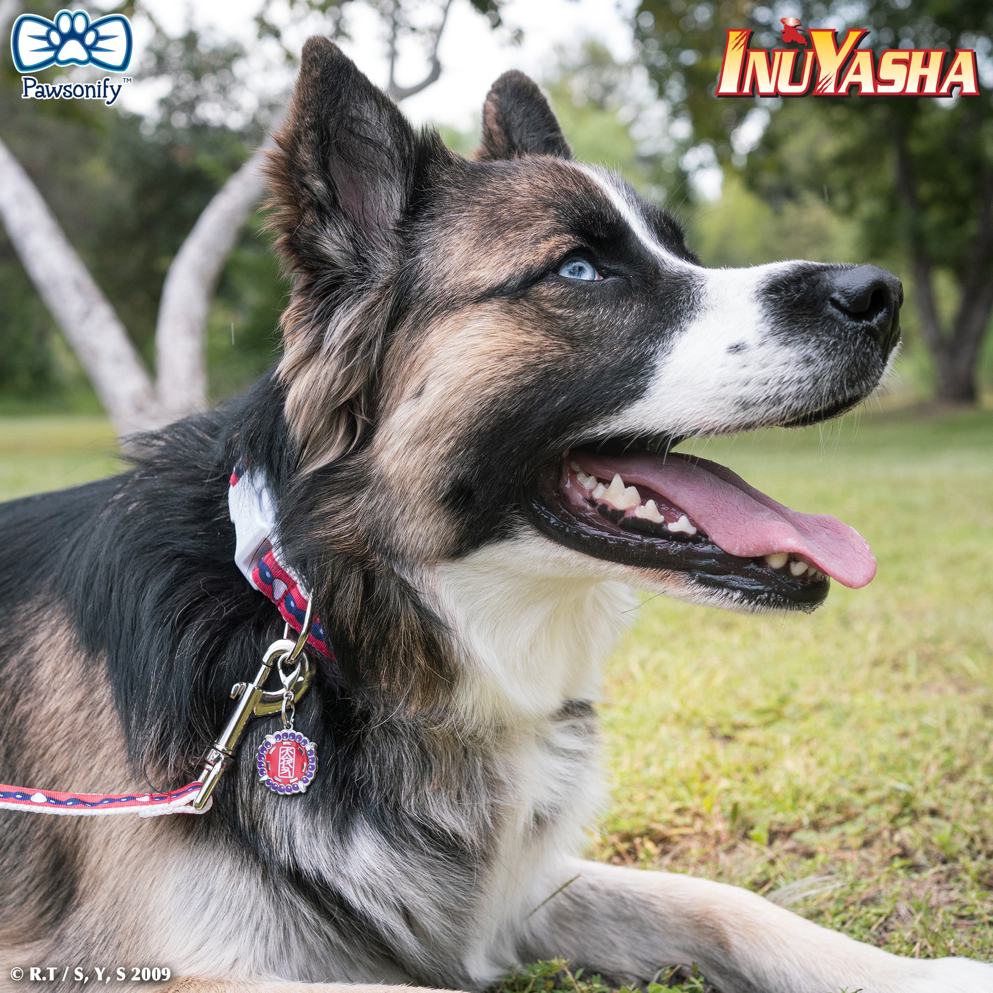 Inuyasha-themed Enamel Pet ID Tag with Character Artwork and Customizable Engraving