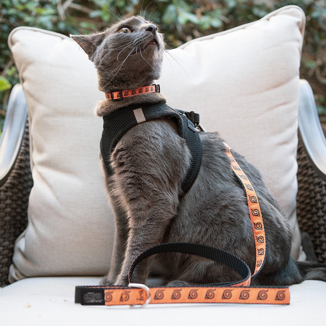 Naruto Collar - Pawsonify