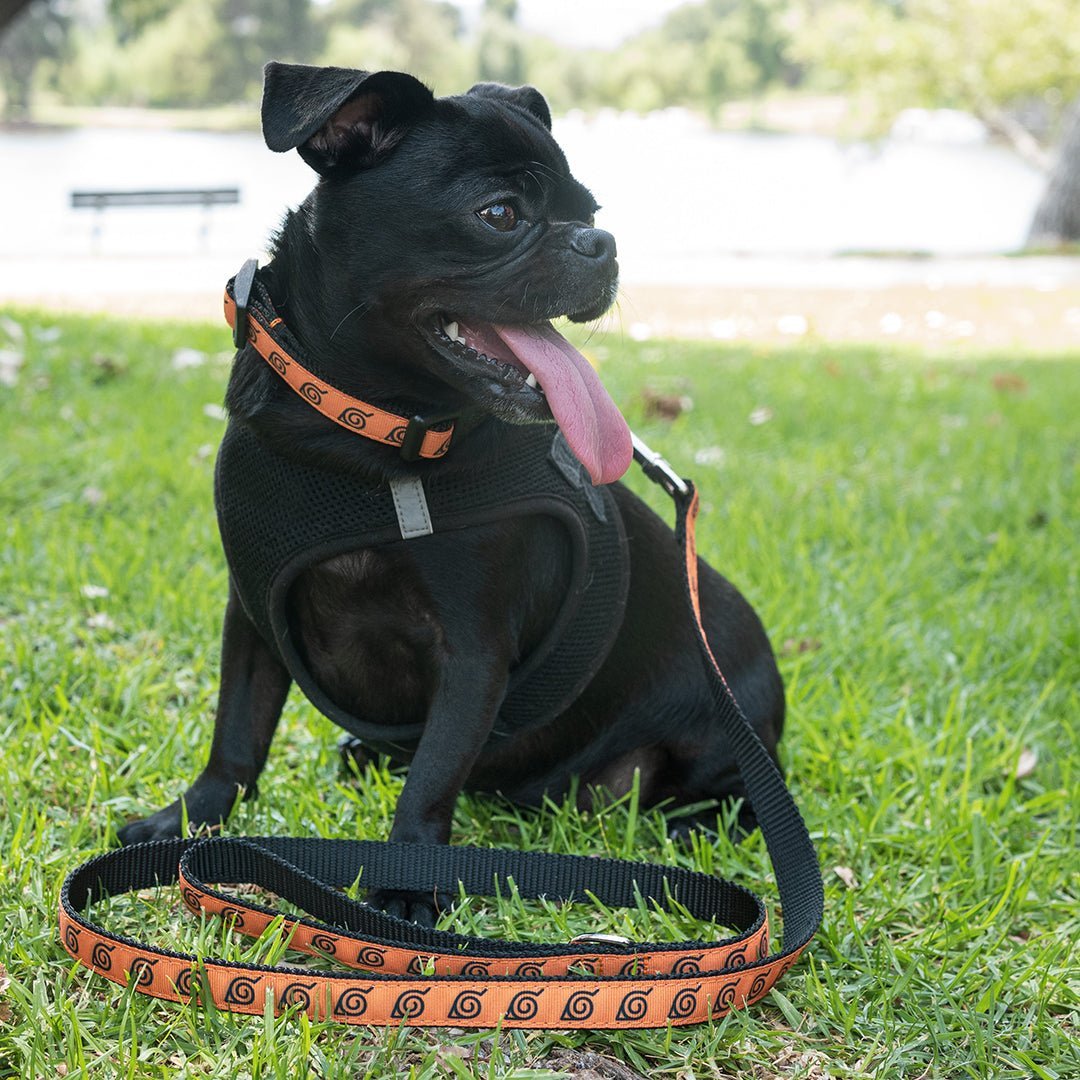 Naruto Collar - Pawsonify