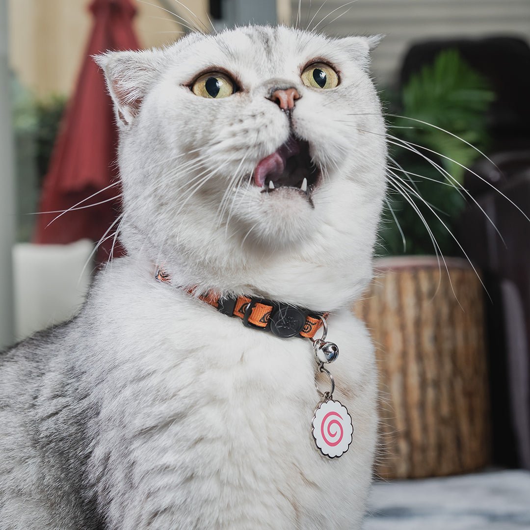 Naruto Fishcake Pet Tag on a Cat