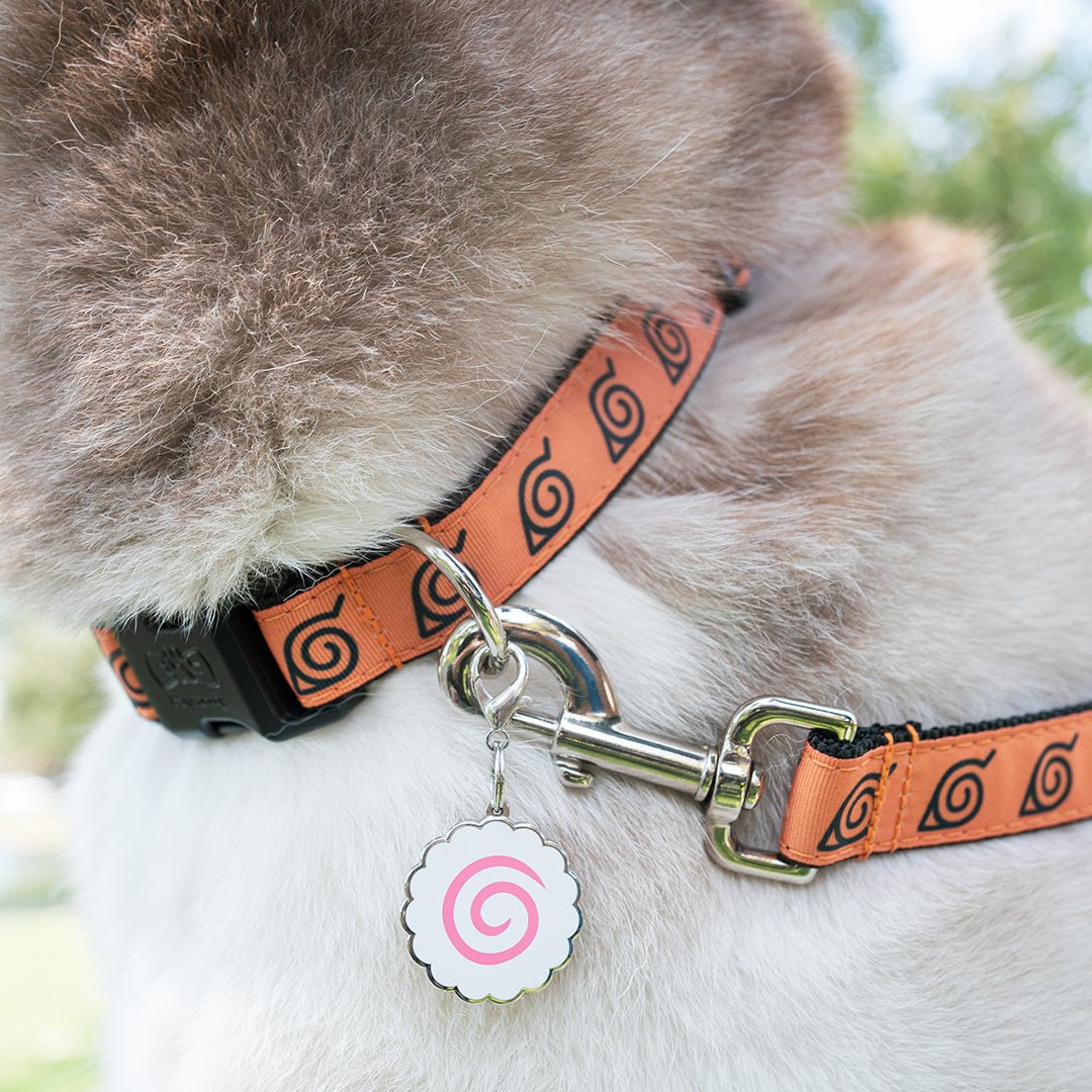Naruto Fishcake Pet Tag on a Husky
