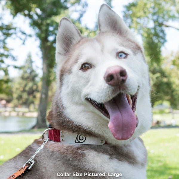 Hidden Leaf Village Ninja Collar - Pawsonify