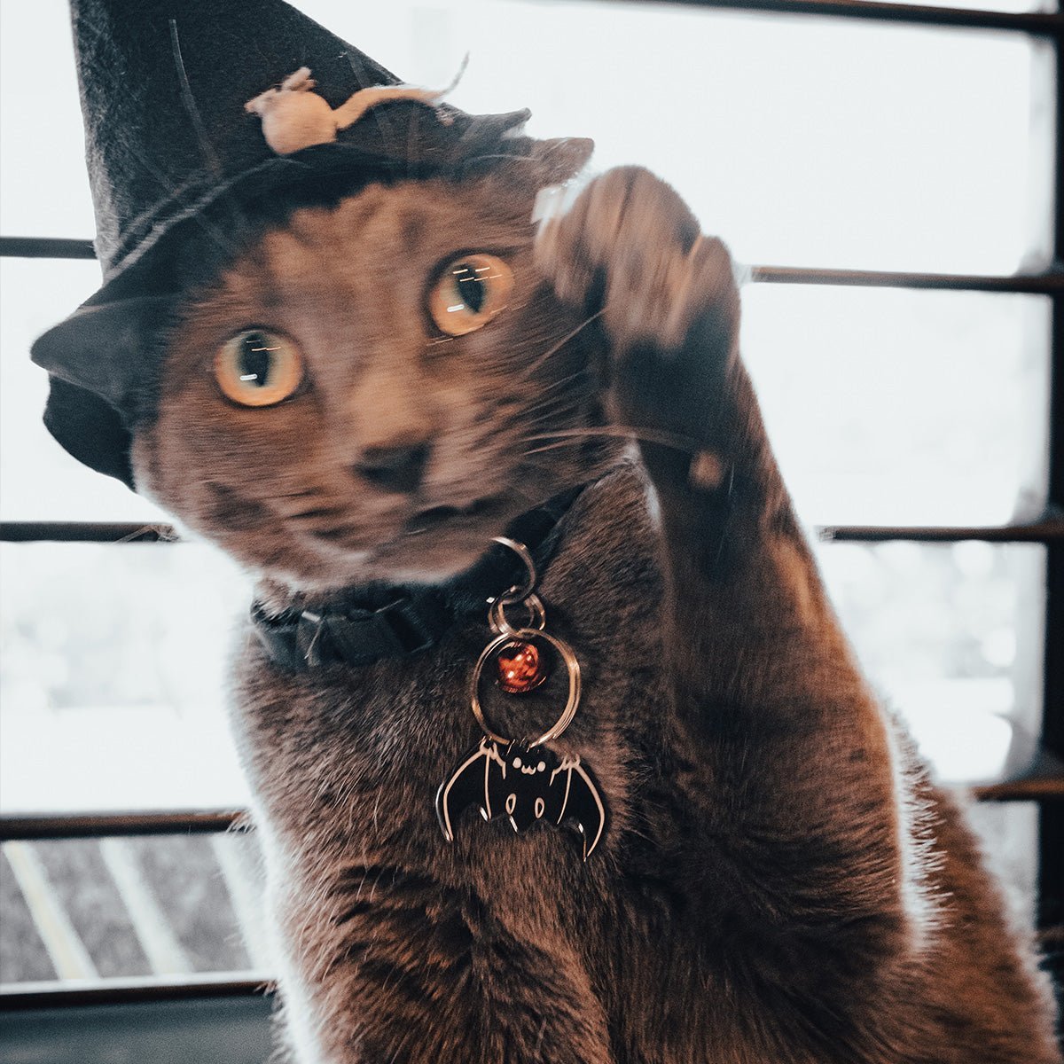 Bat Pet Tag - Pawsonify
