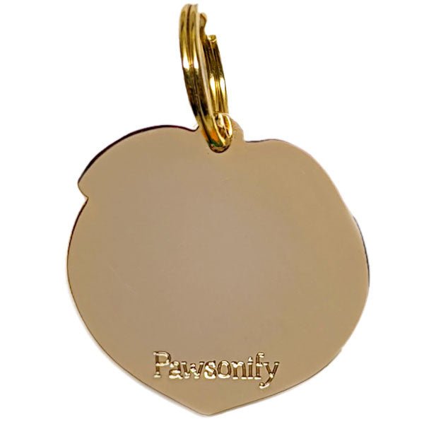 Pawsonify Original - Peach (Momo) ID Tag