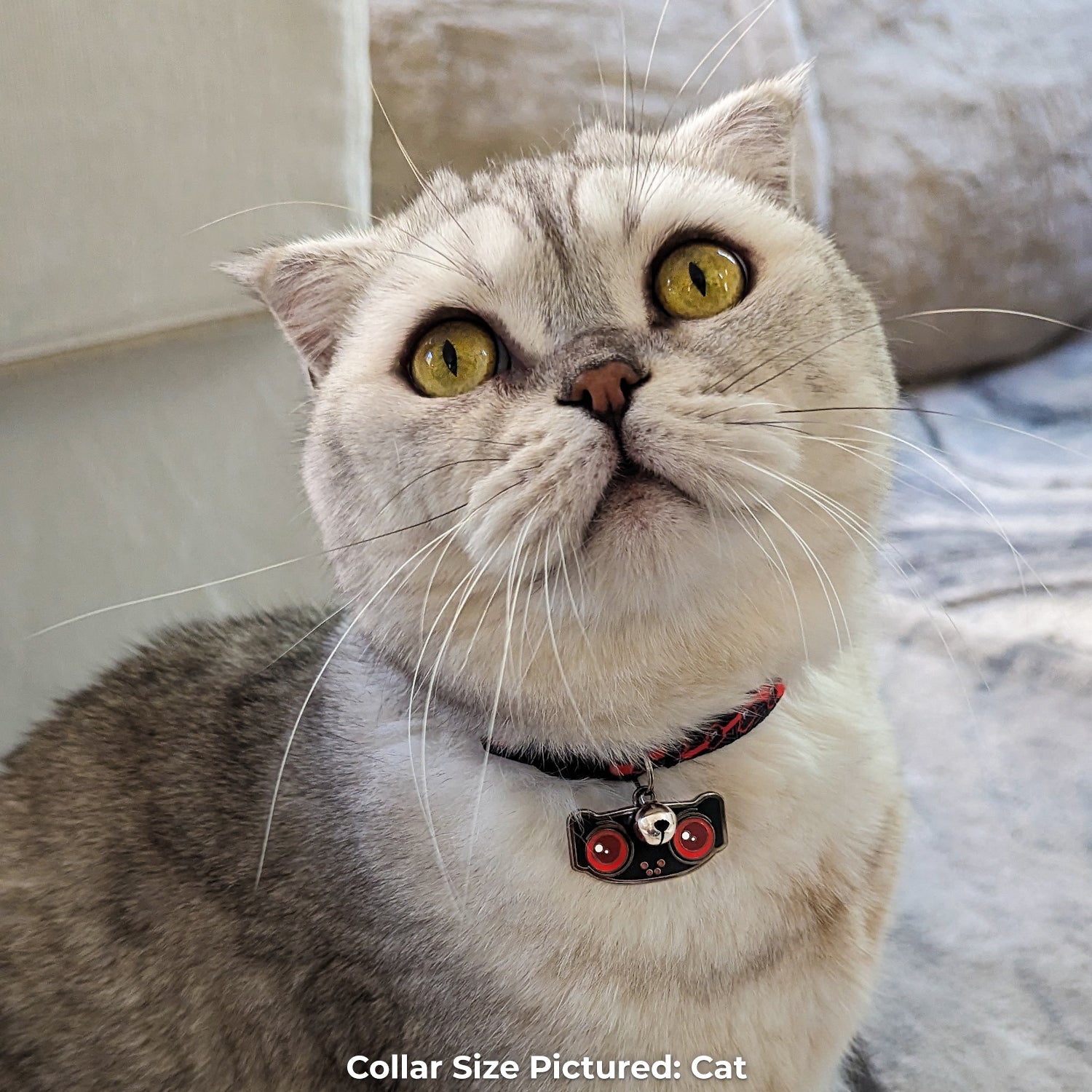 Phantom Thieves - Oracle Pet Tag - Pawsonify