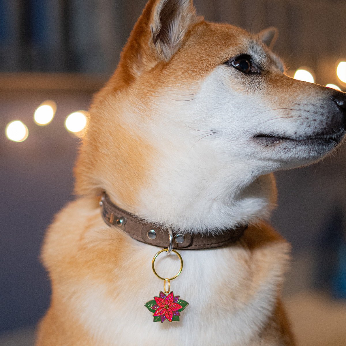 Poinsettia Pet Tag - Pawsonify