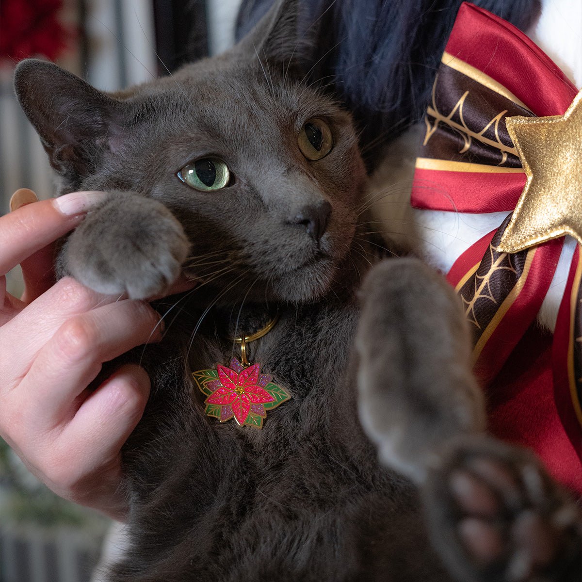 Poinsettia Pet Tag - Pawsonify