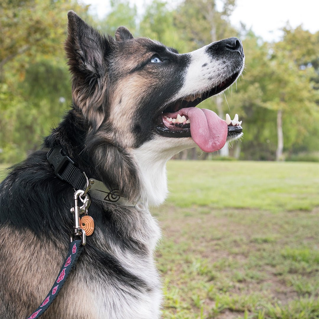 Naruto Shippuden Tobi Pet ID Tag Free Engraving