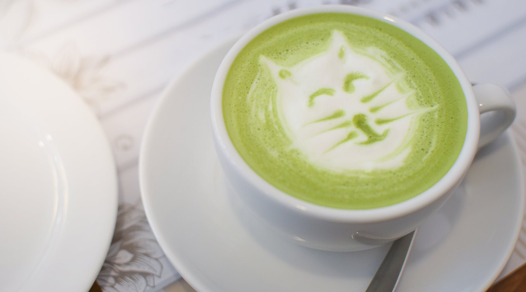 Café Collection - Pawsonify