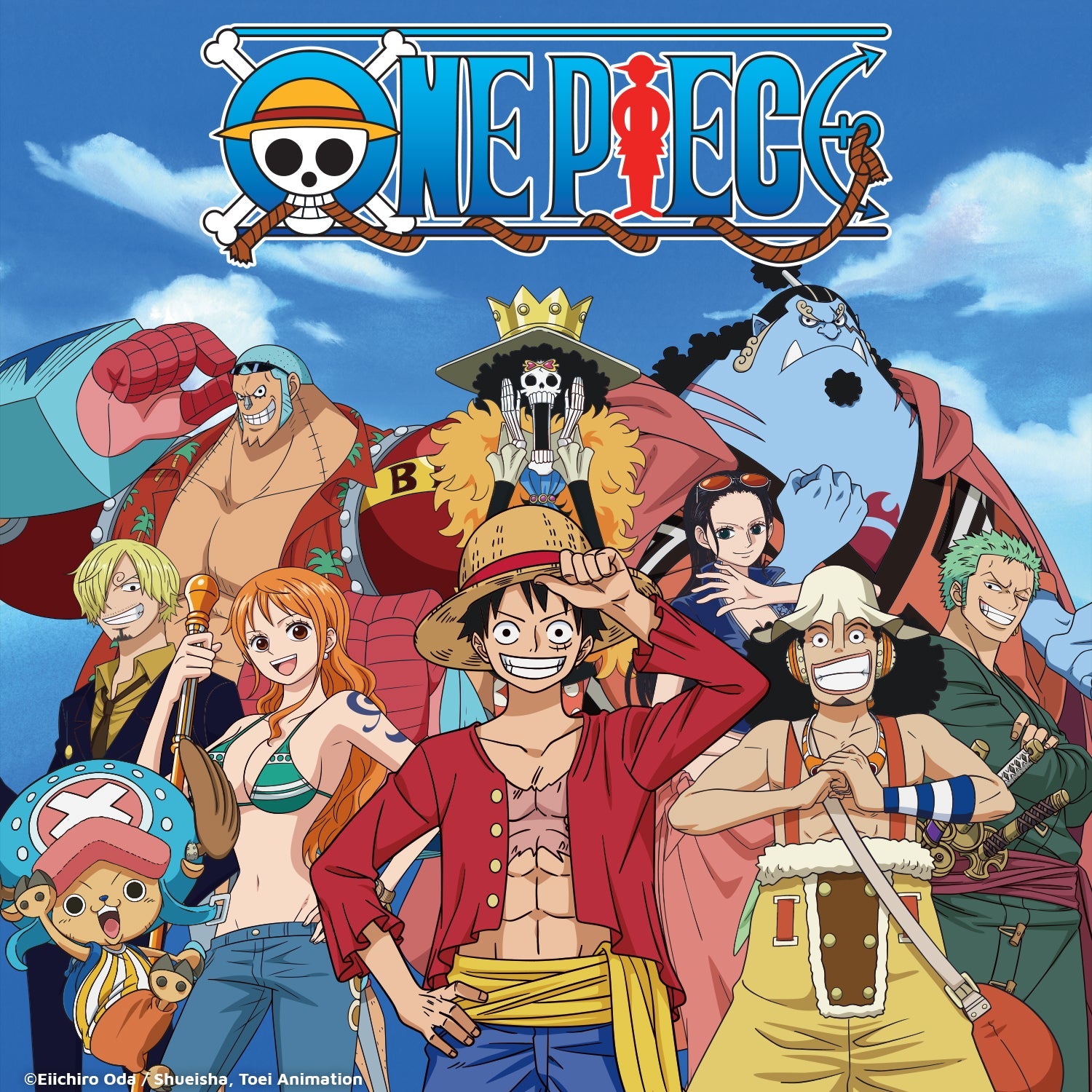 One Piece - Pet Tags
