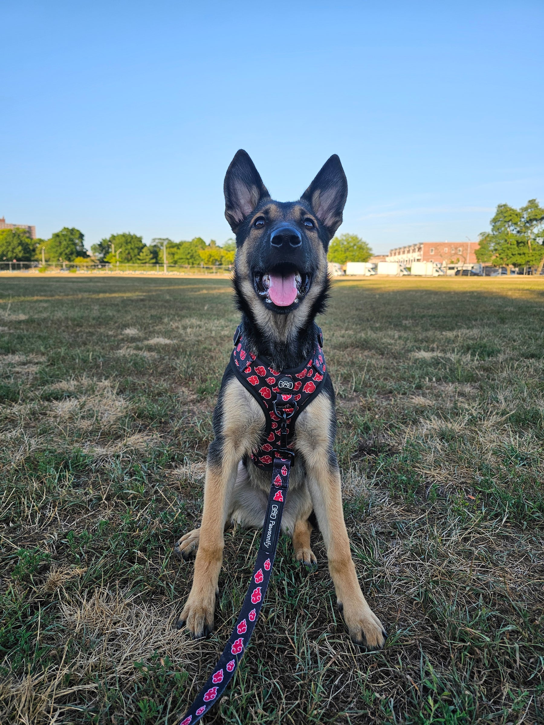 Freyja
