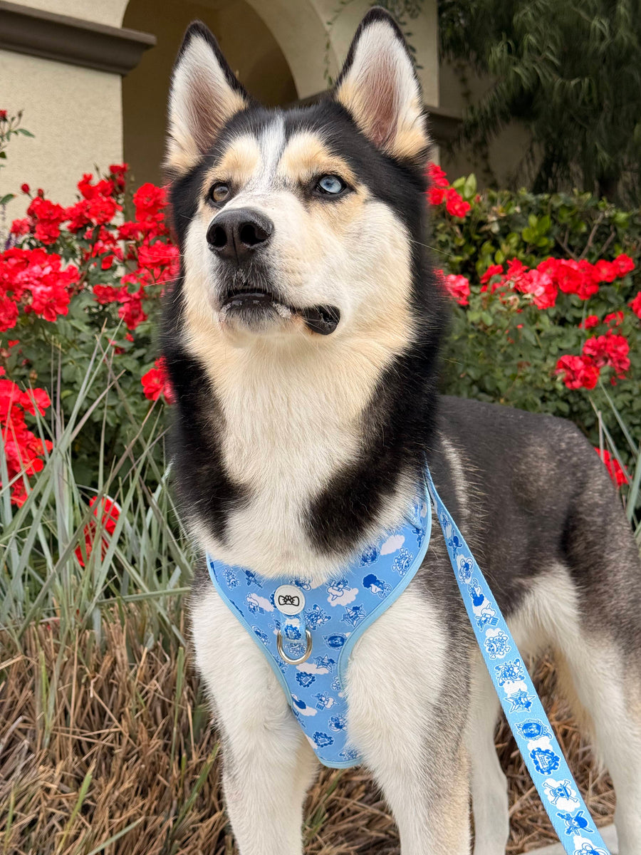 Riku