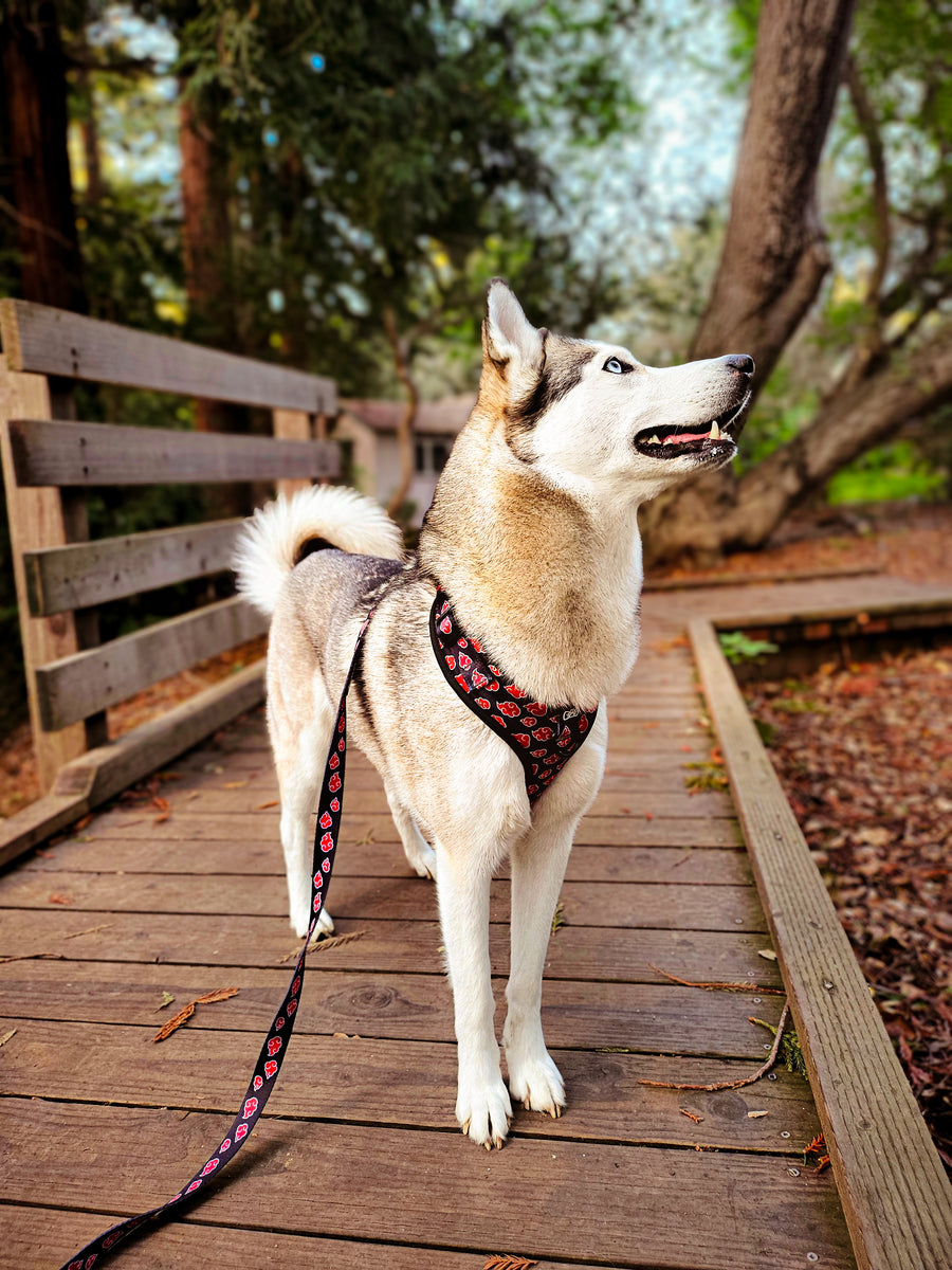 Kira