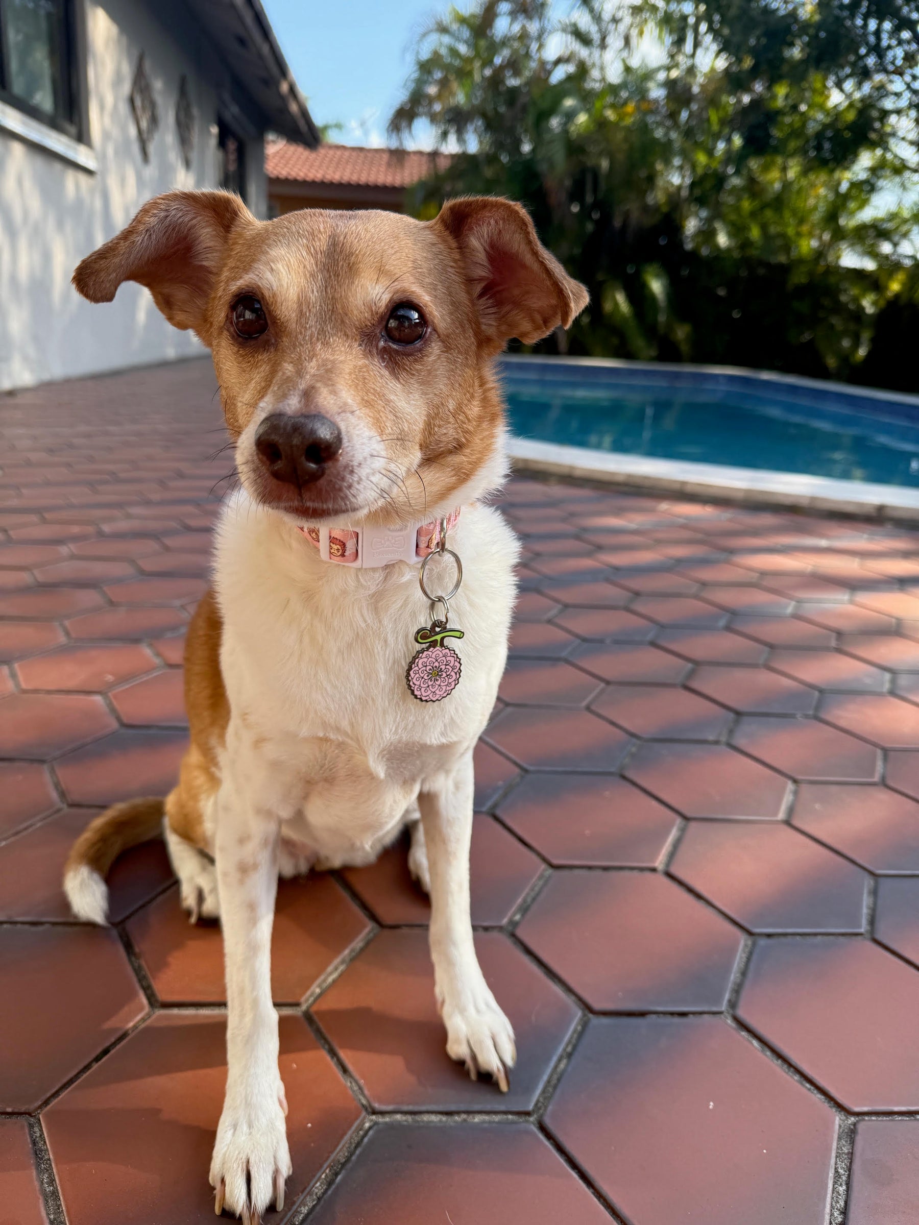 Mia