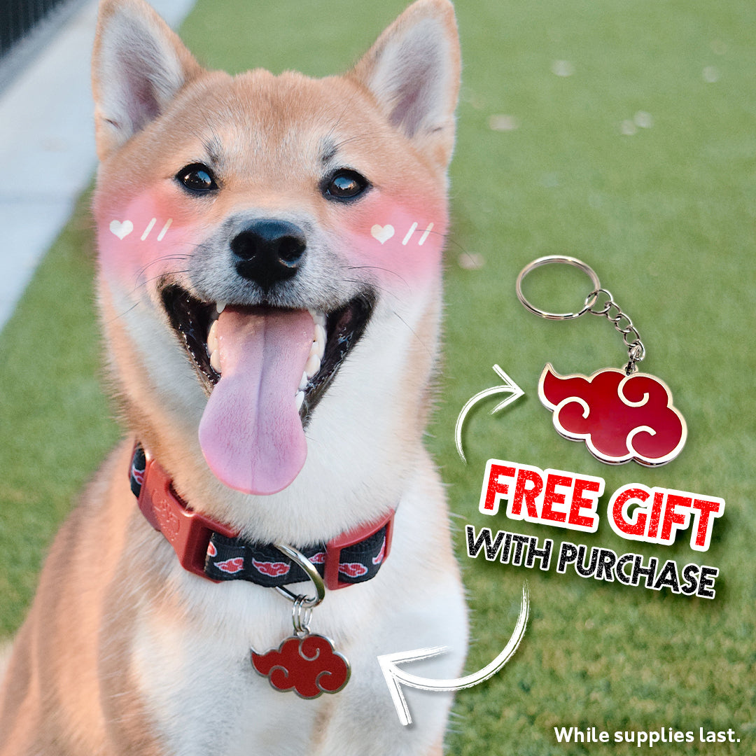 Akatsuki Pet Tag