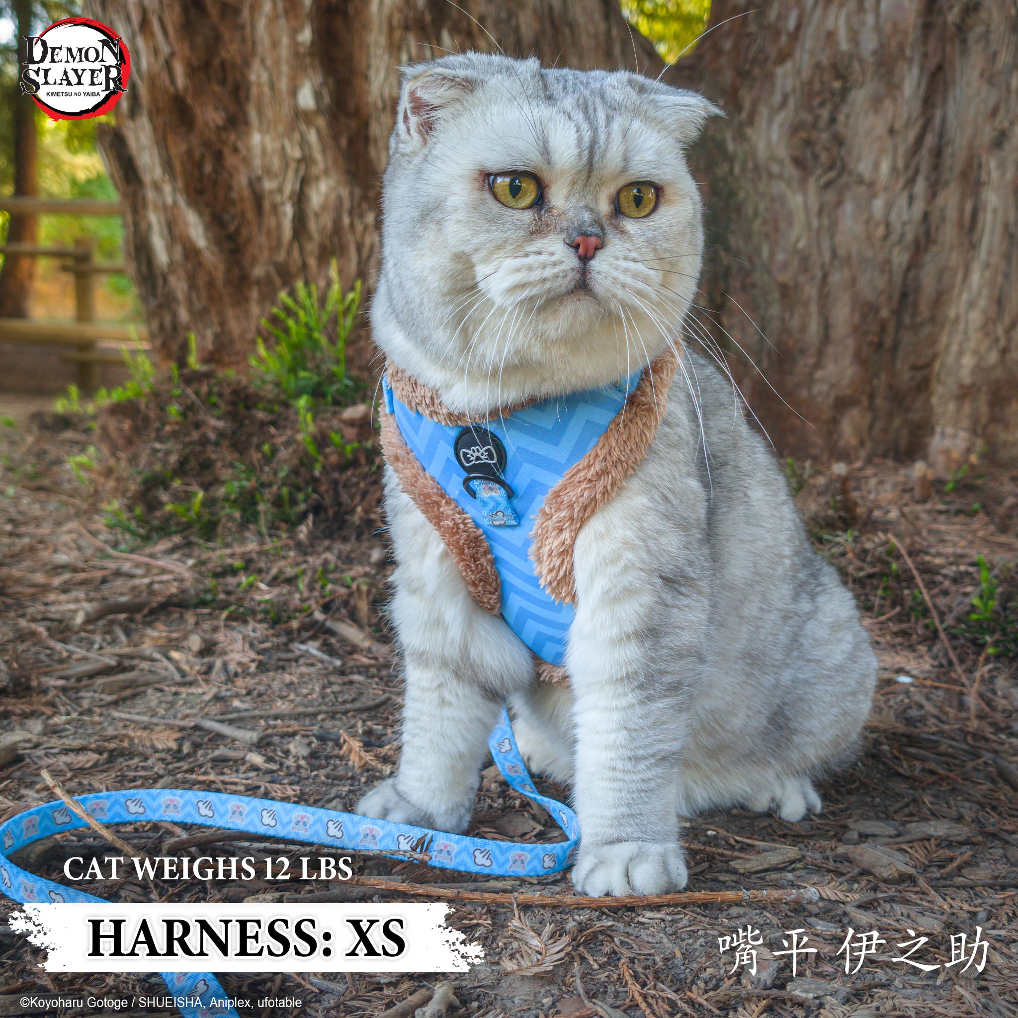 【Pre-Order】Cat Three Piece Bundle - Inosuke