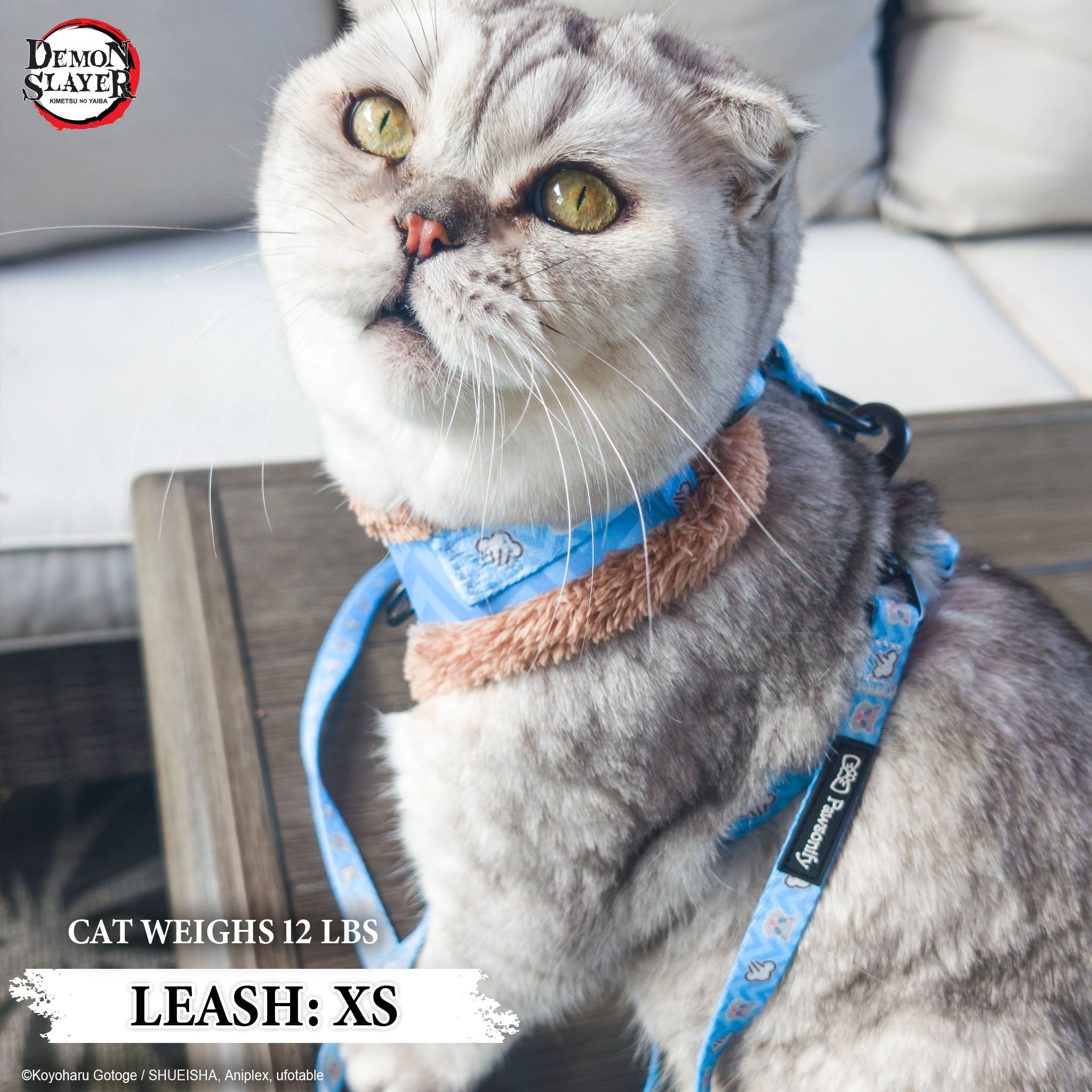 Inosuke Hashibira Leash